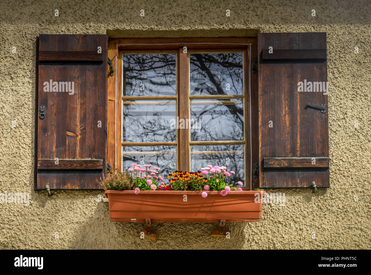 Fenster, Blumen, Preysingstrasse, Alt-Haidhausen, Haidhausen, Monaco di Baviera, Deutschland Foto Stock