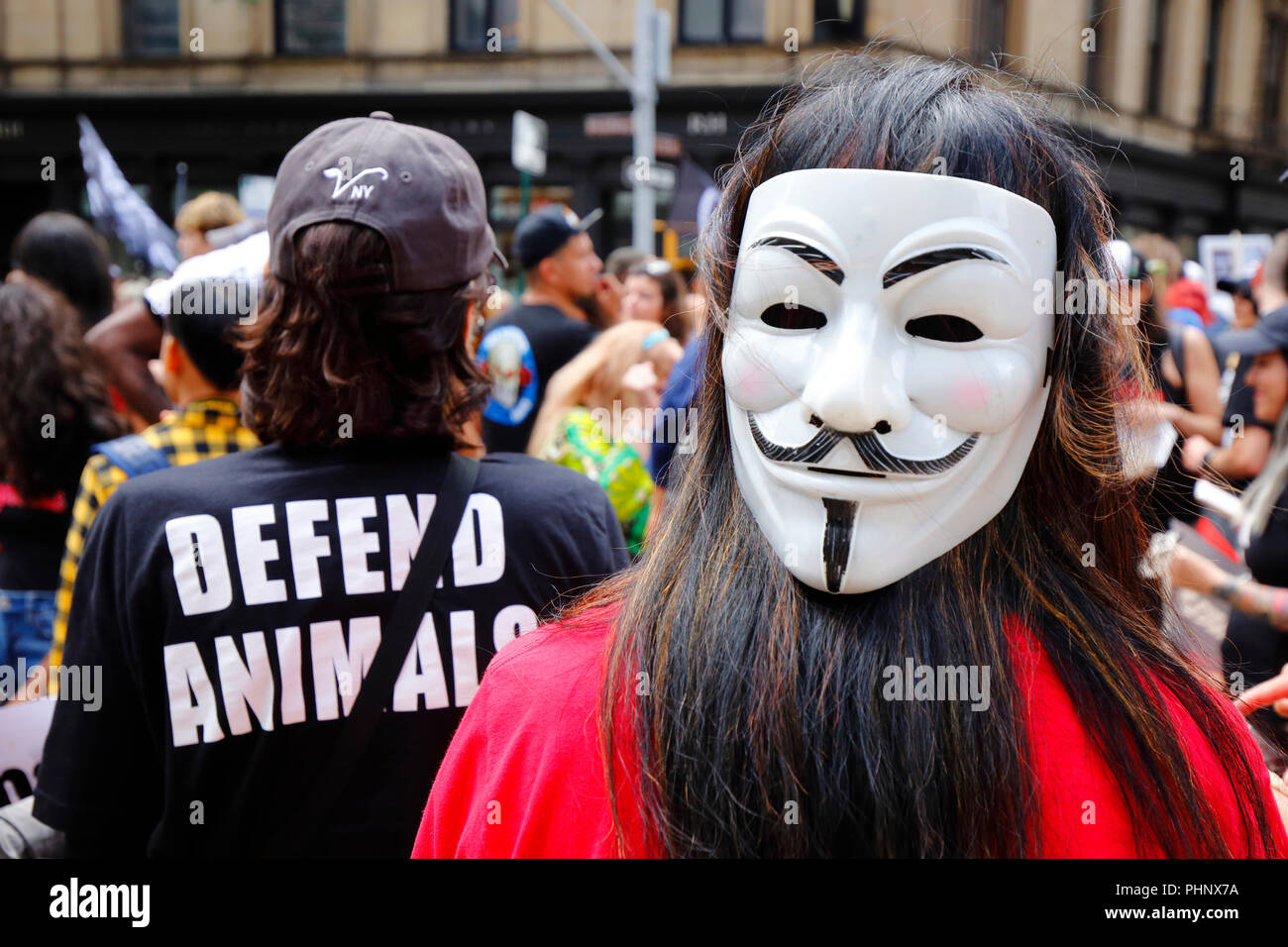 New York, NY, STATI UNITI D'AMERICA. Il 1 settembre 2018. Un manifestante con un Guy Fawkes " Siamo Anonimo' maschera ad una manifestazione per i diritti degli animali si trova vicino Madison Square Park a Manhattan. Foto Stock