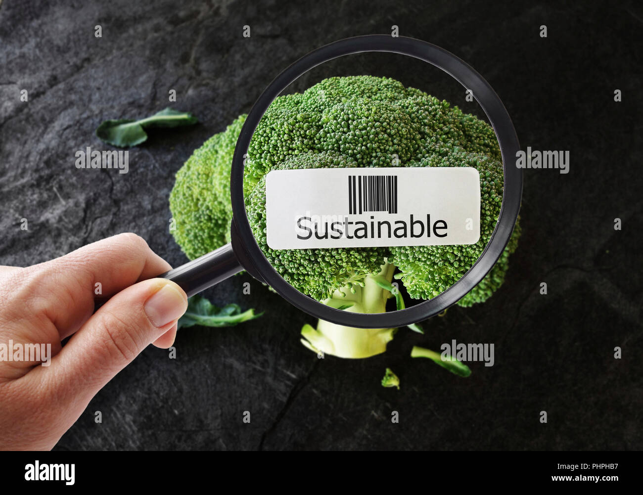 Il cibo sostenibile concetto Foto Stock