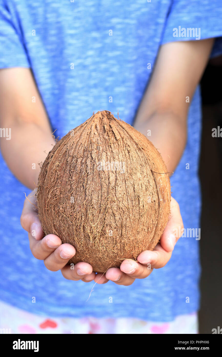 Mano che regge tutta la frutta noce di cocco Foto Stock