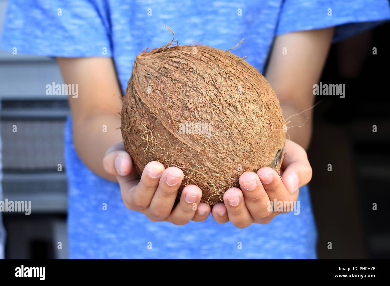 Mano che regge tutta la frutta noce di cocco Foto Stock