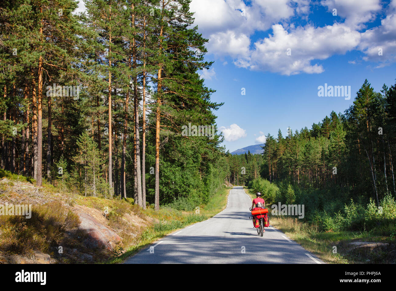 Un ciclista viaggia cavalca un percorso ciclabile lungo la strada panoramica attraverso il bosco di abeti in Norvegia meridionale Foto Stock