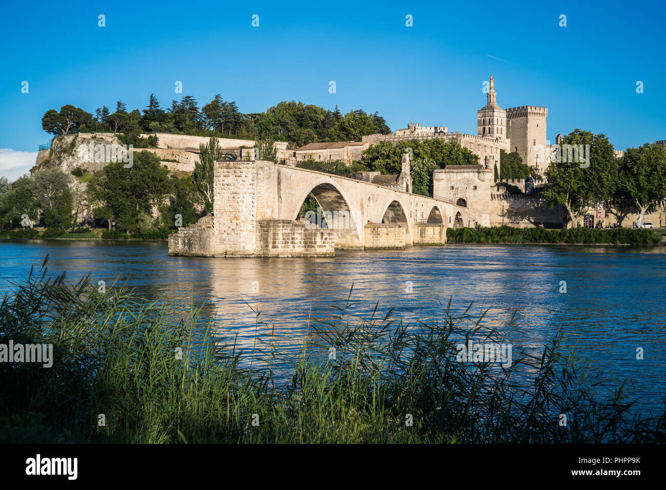 Pont St Benezet e Rodano a Avignon Francia Foto Stock