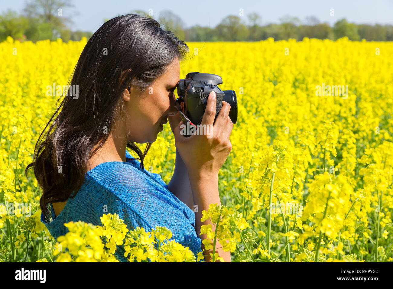 Donna Fotografa campo giallo dei fiori Foto Stock