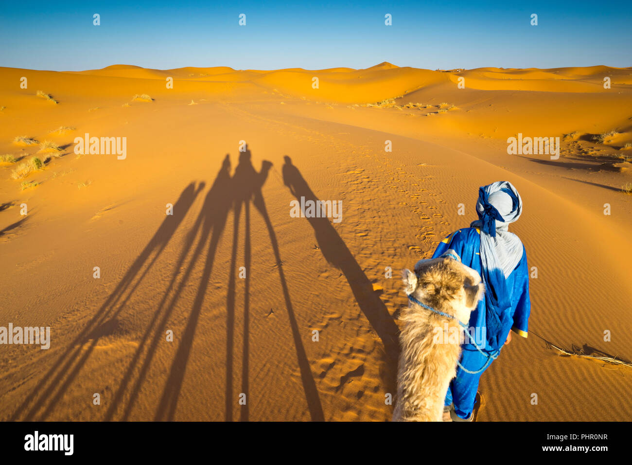 Kamelritt durch die Wüste Sahara in Marokko Foto Stock