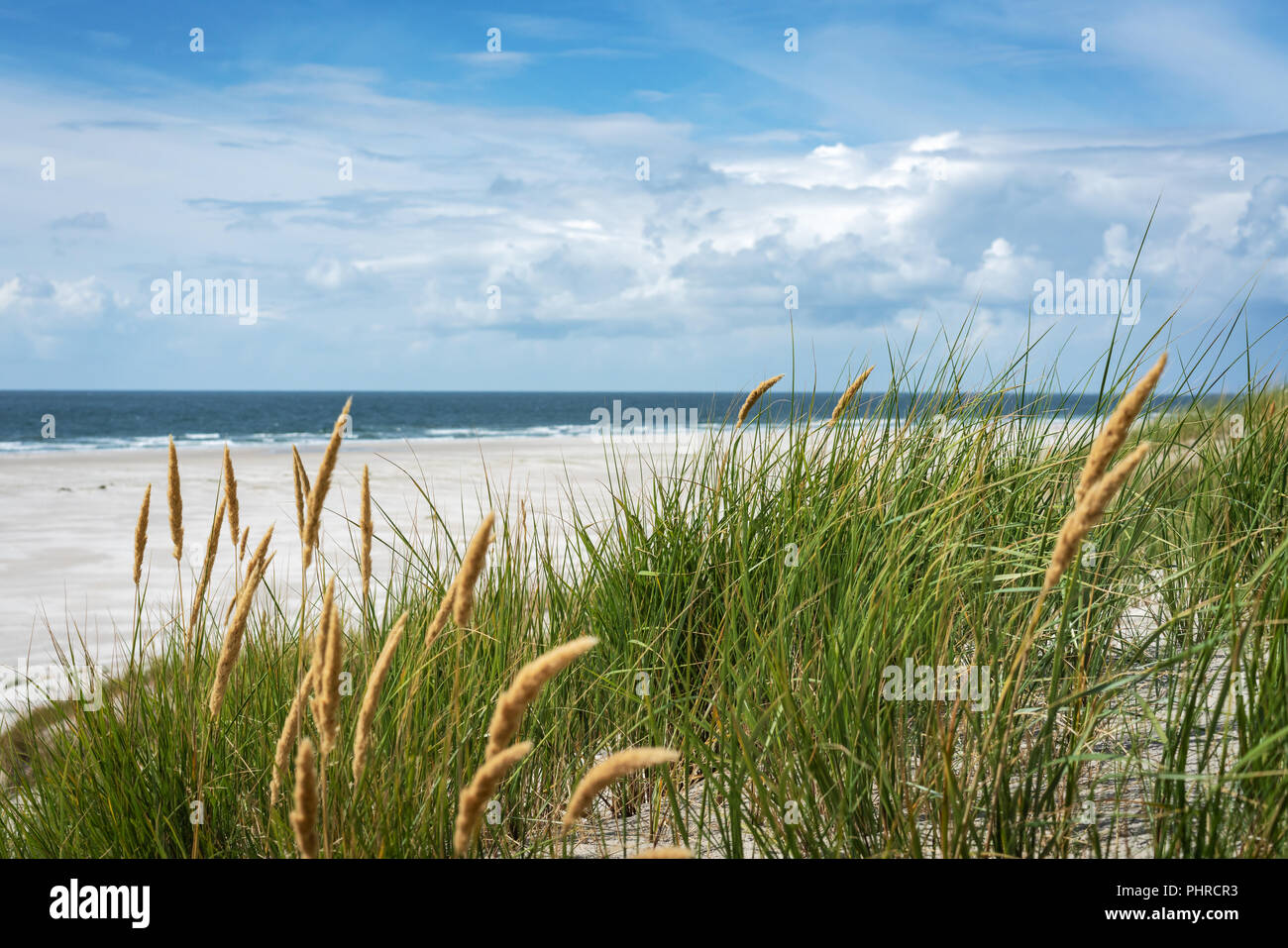 Vista la bellissima spiaggia del nord Isola Frisone Amrum, Germania Foto Stock