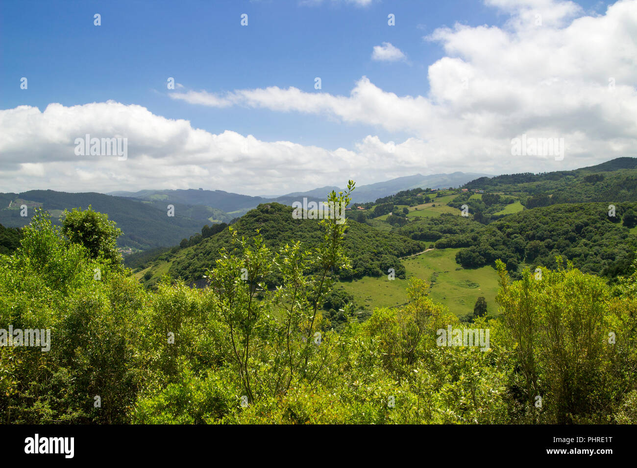 Cantabria, Liendo comune, verdi colline e campi Foto Stock