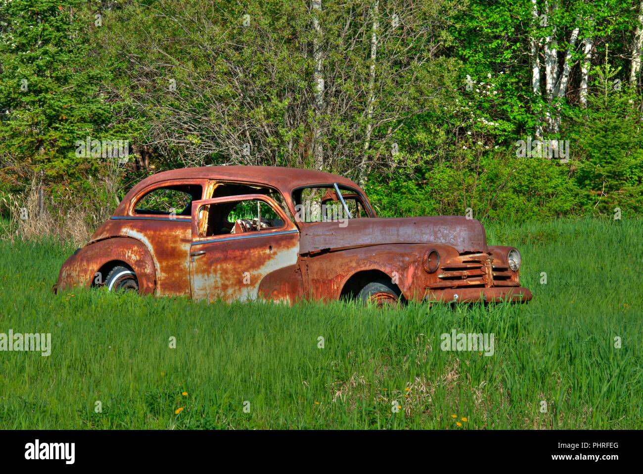 Foto HDR Rusty vecchia auto nel campo con sfondo sempreverdi. Immagine hdr. Immagine hdr. Ritratto di HDR. Bella scena con un vecchio classico auto. Foto Stock