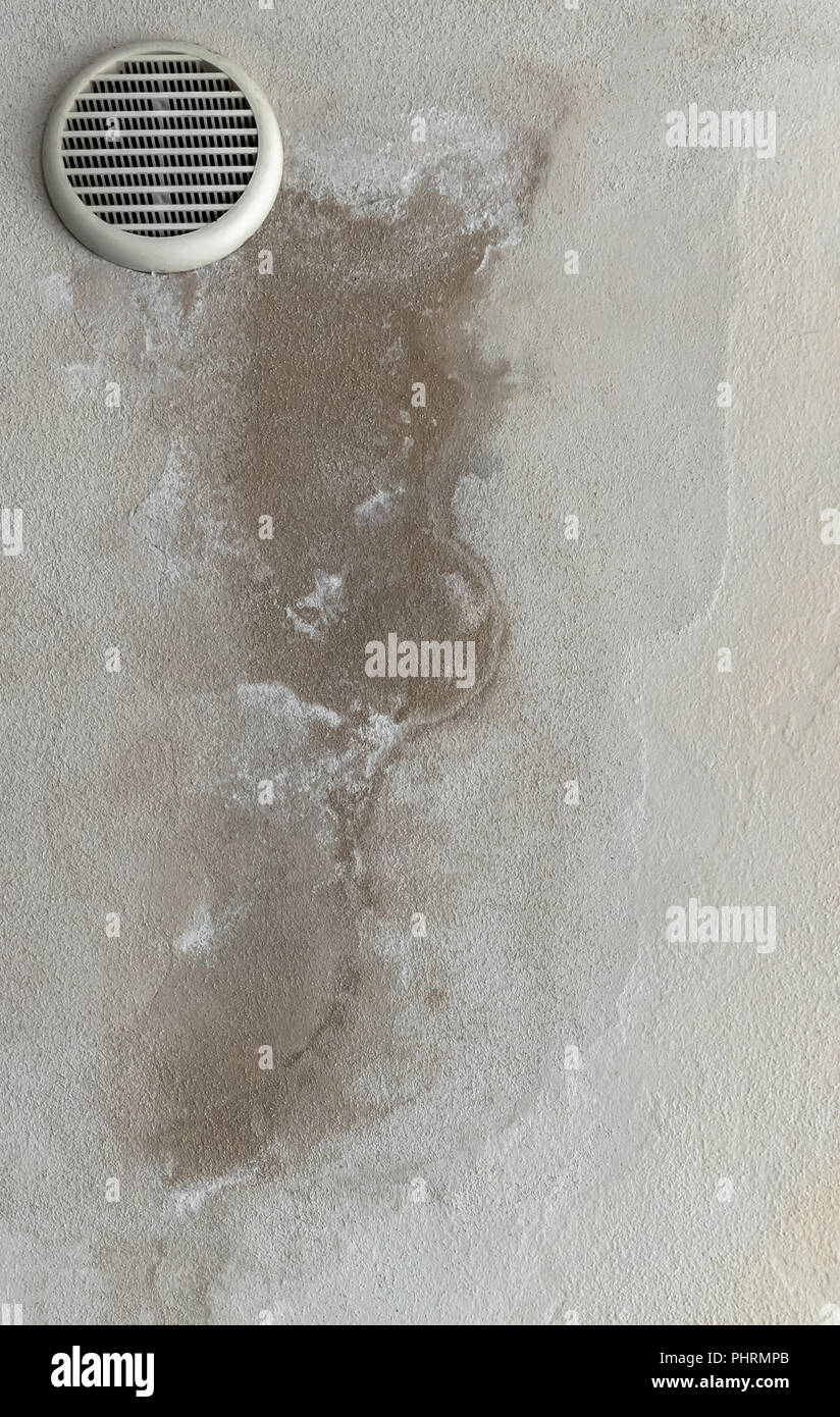 Macchie di umido, striature e lo stampo a parete. Foto Stock