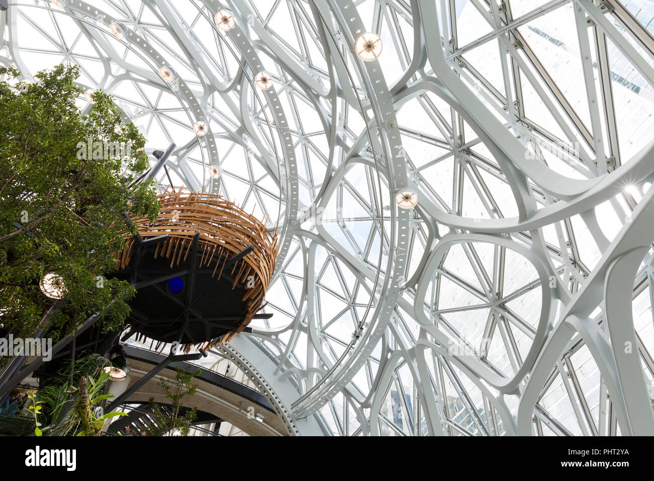 Seattle, Washington: Vista del "nido di uccelli' nel Nuovo Mondo Giardino a sfere su Amazon campus metropolitano. Le strutture geodetiche house office Foto Stock
