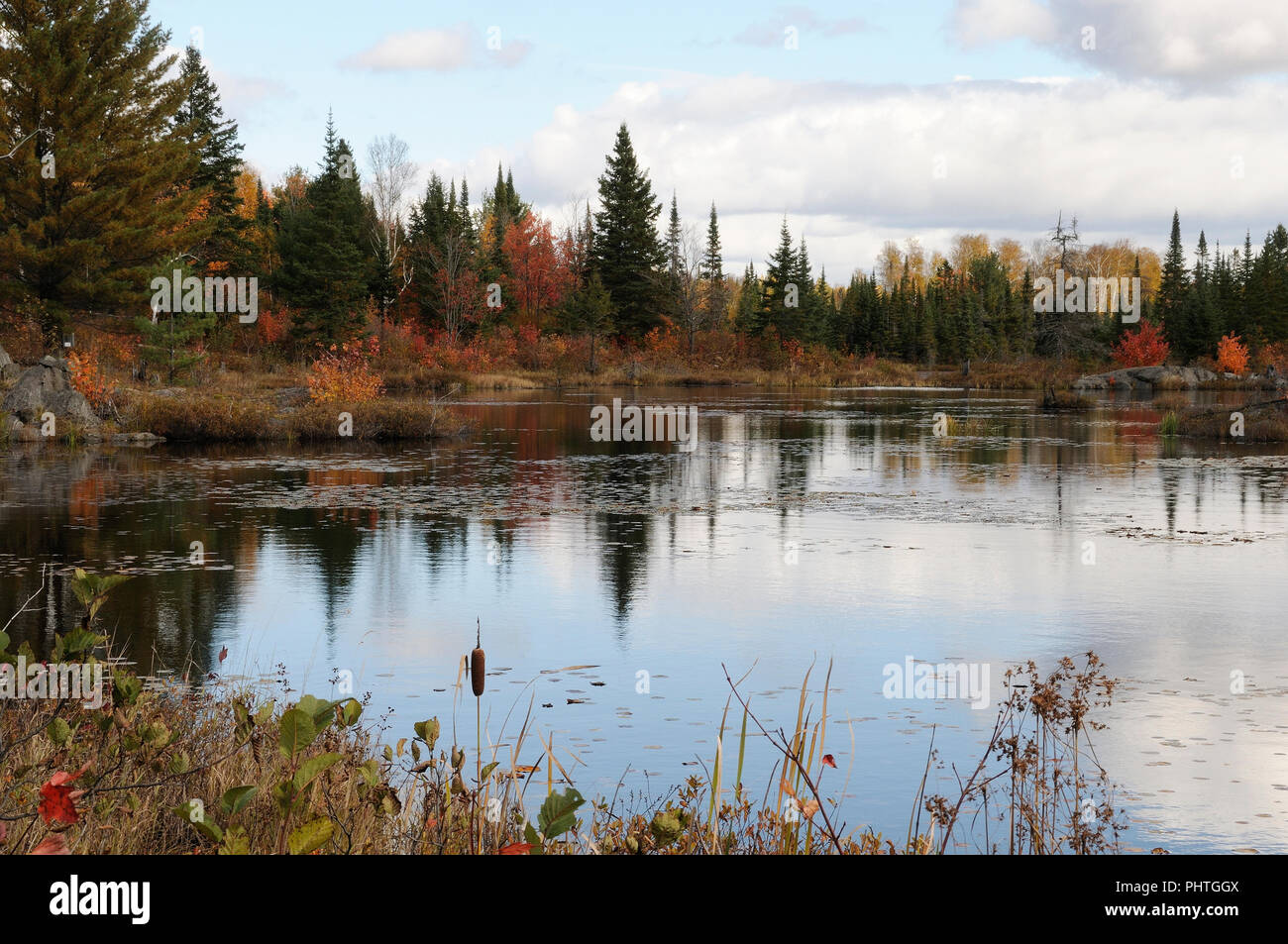 Paesaggio autunnale paesaggio che mostra natura coloratissima autunno scena con alberi colorati, acqua, cattails, fogliame, bleu sky, Buffy le nuvole in una tranquillità. Foto Stock