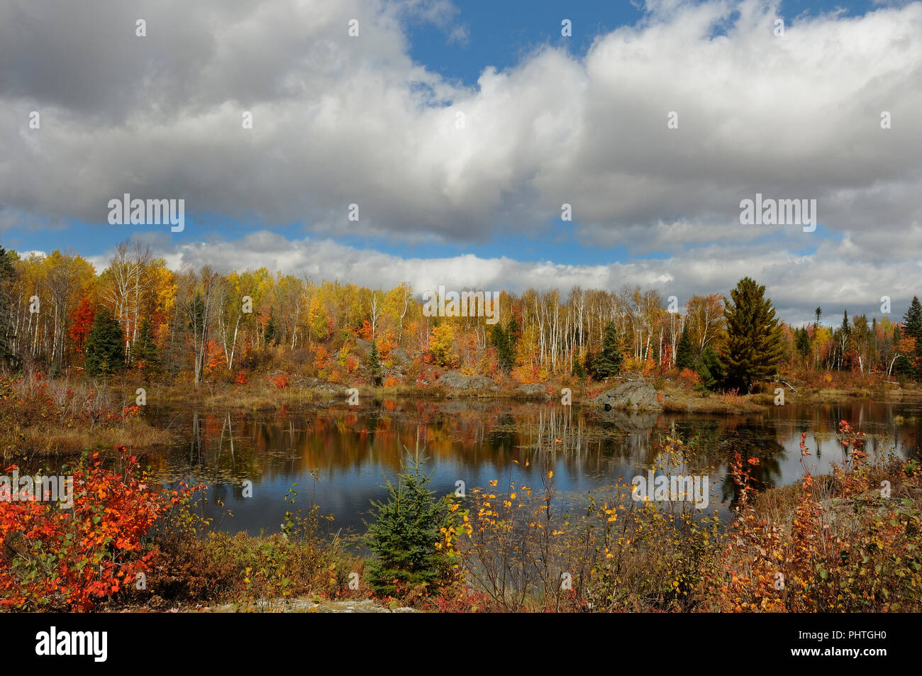 Paesaggio autunnale paesaggio che mostra natura coloratissima autunno scena con alberi colorati, acqua, cattails, fogliame, bleu sky, Buffy le nuvole in una tranquillità. Foto Stock