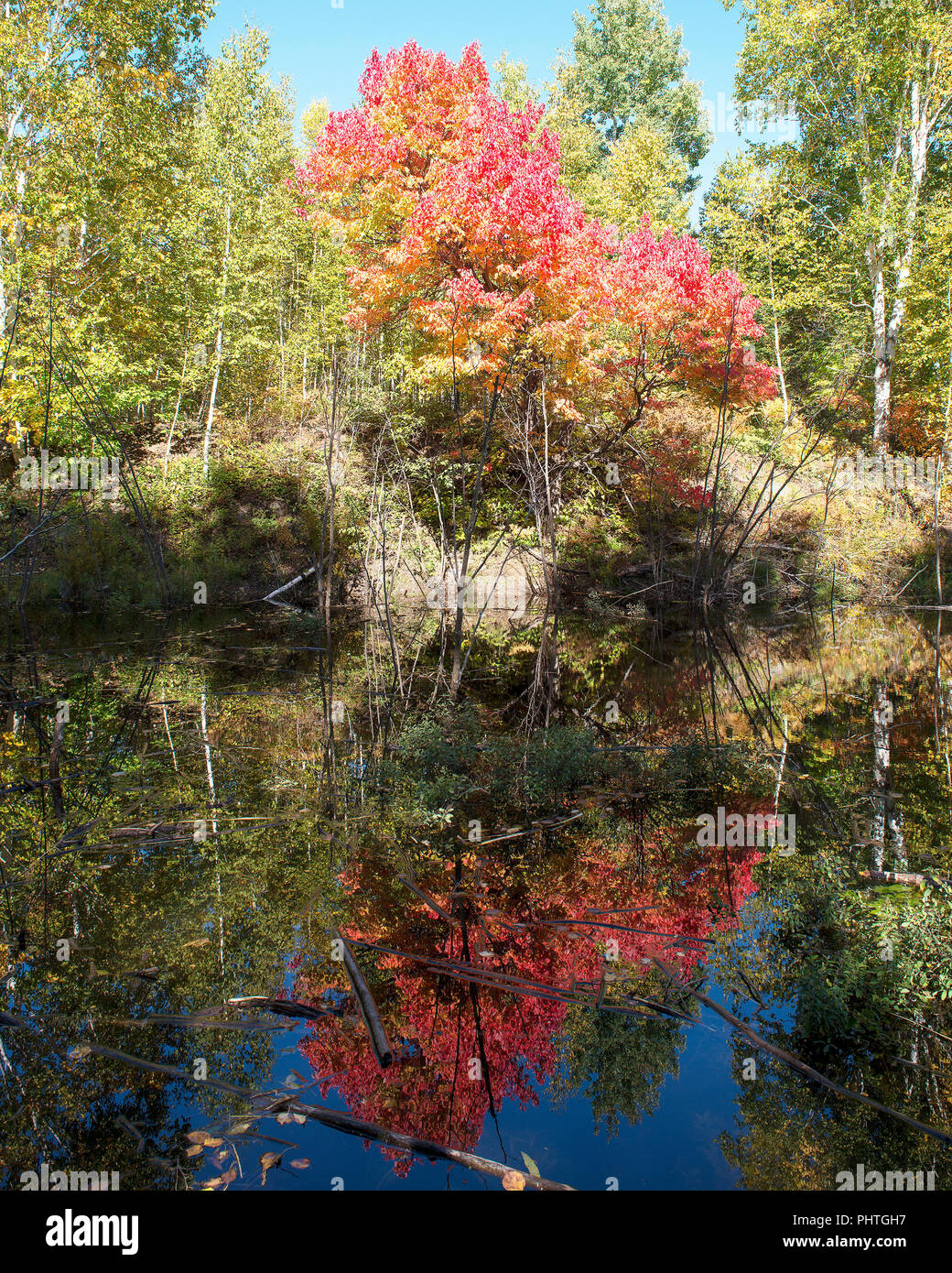 Paesaggio autunnale paesaggio che mostra natura coloratissima scena con la riflessione di albero colorato nell'acqua. Foto Stock