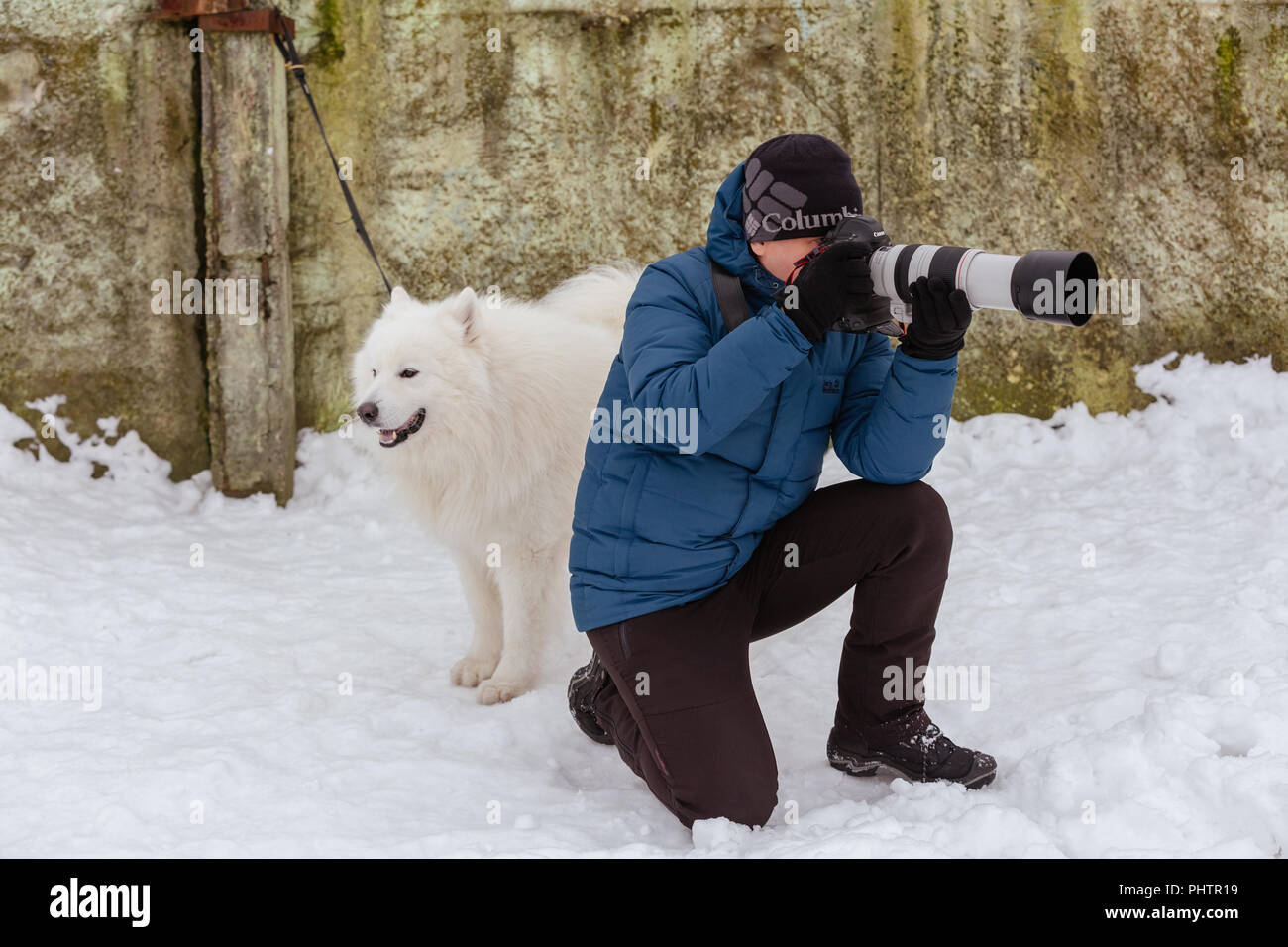 Gomel, Bielorussia - 15 Gennaio 2017: Fotografo con un cane Samoiedo Laika in inverno Foto Stock