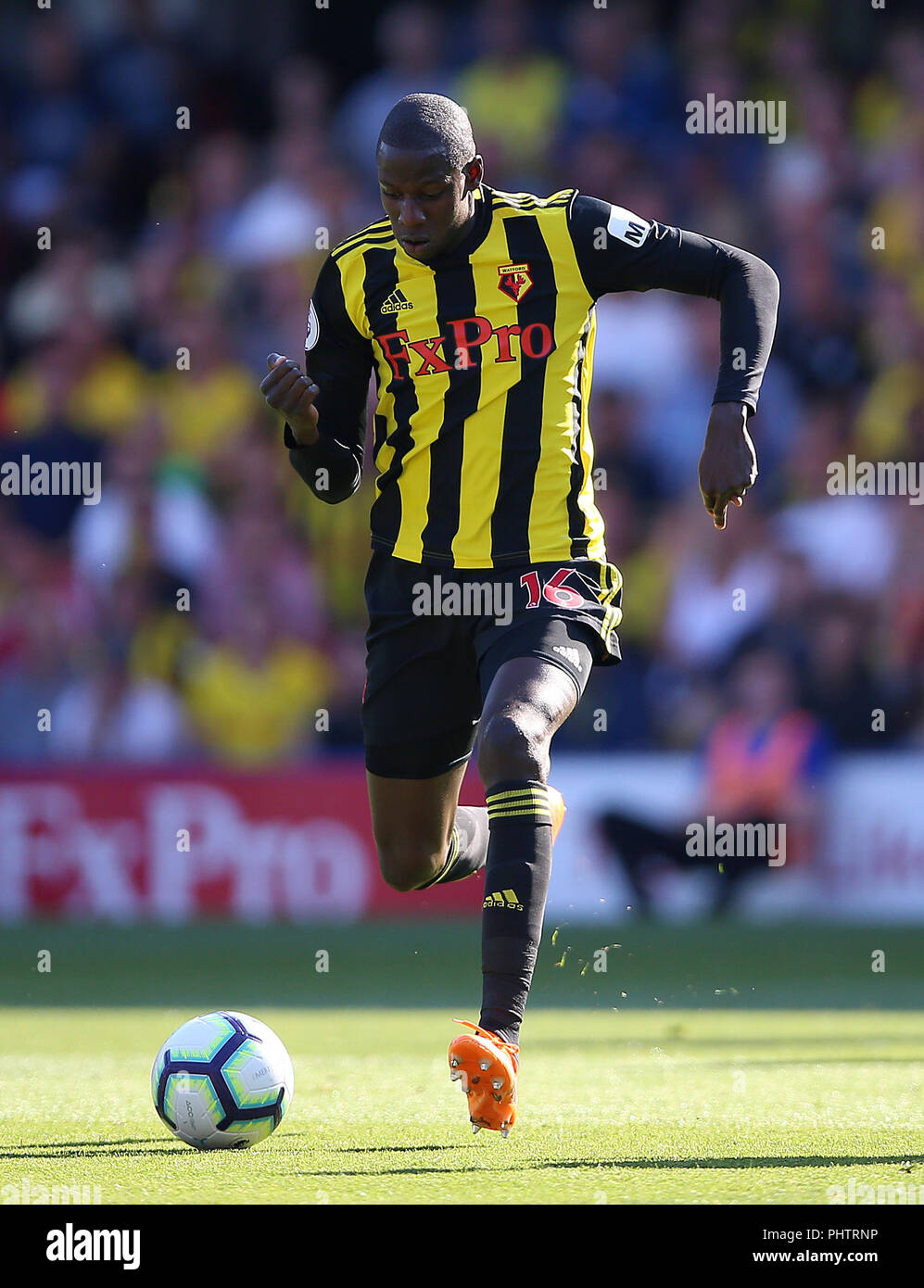 Watford's Abdoulaye Doucoure durante la partita della Premier League a Vicarage Road, Watford. PREMERE ASSOCIAZIONE foto. Data immagine: Domenica 2 settembre 2018. Vedi PA storia CALCIO Watford. Il credito fotografico dovrebbe essere: Nigel French/PA Wire. RESTRIZIONI: Nessun utilizzo con audio, video, dati, elenchi di apparecchi, logo di club/campionato o servizi "live" non autorizzati. L'uso in-match online è limitato a 120 immagini, senza emulazione video. Nessun utilizzo nelle scommesse, nei giochi o nelle pubblicazioni di singoli club/campionati/giocatori. Foto Stock