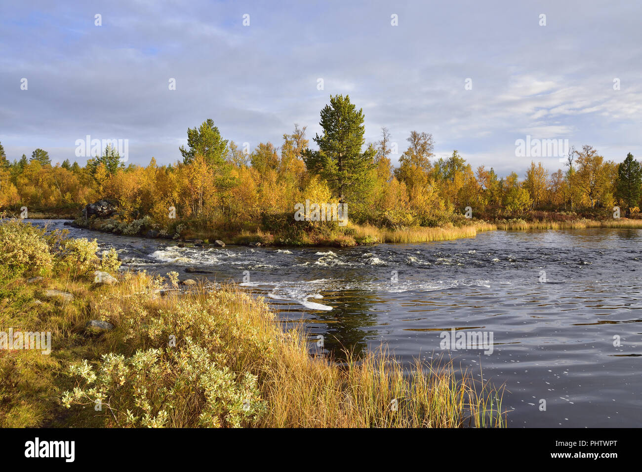 Riserva naturale rogen in Svezia Foto Stock