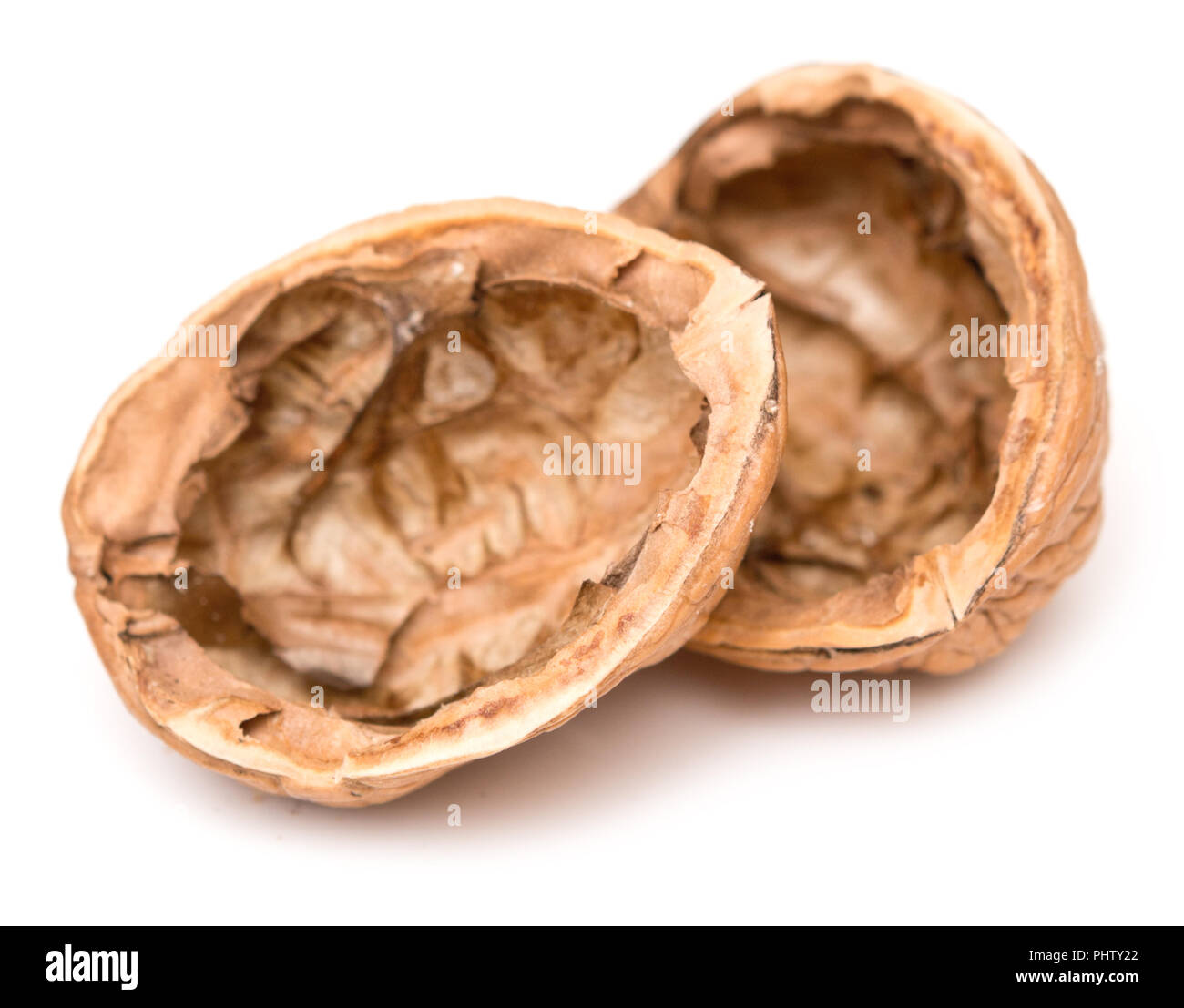 Gusci di noce Foto Stock