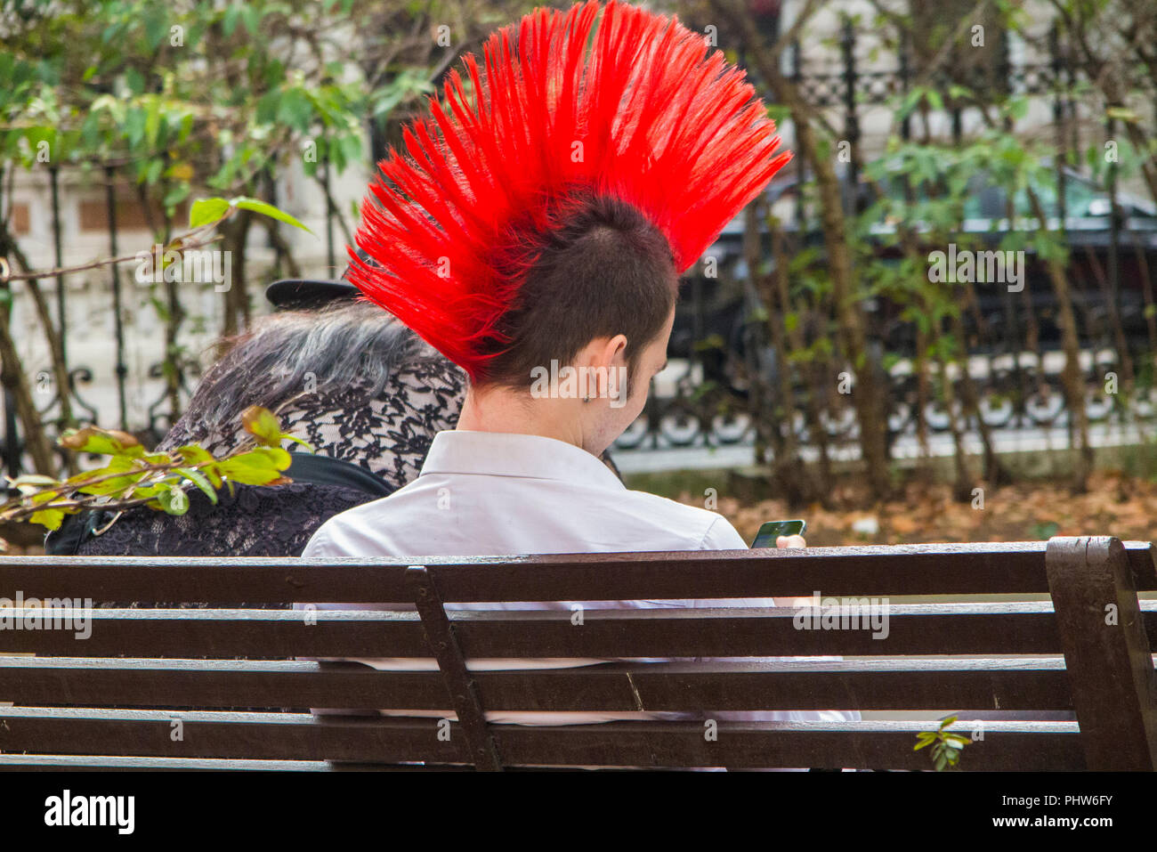 Un punk con una grande scarlet mohicano e un perno di sicurezza orecchini si siede su una panchina nel parco a Londra Foto Stock