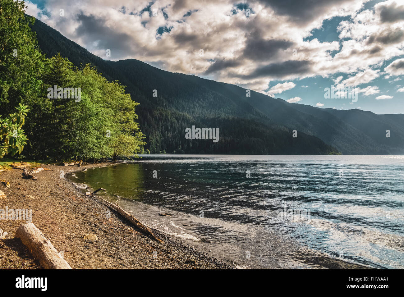 Il lago di spiaggia a mezzaluna sul tardo pomeriggio su un soleggiato e giorno nuvoloso, il Parco Nazionale di Olympic, nello stato di Washington, USA. Foto Stock