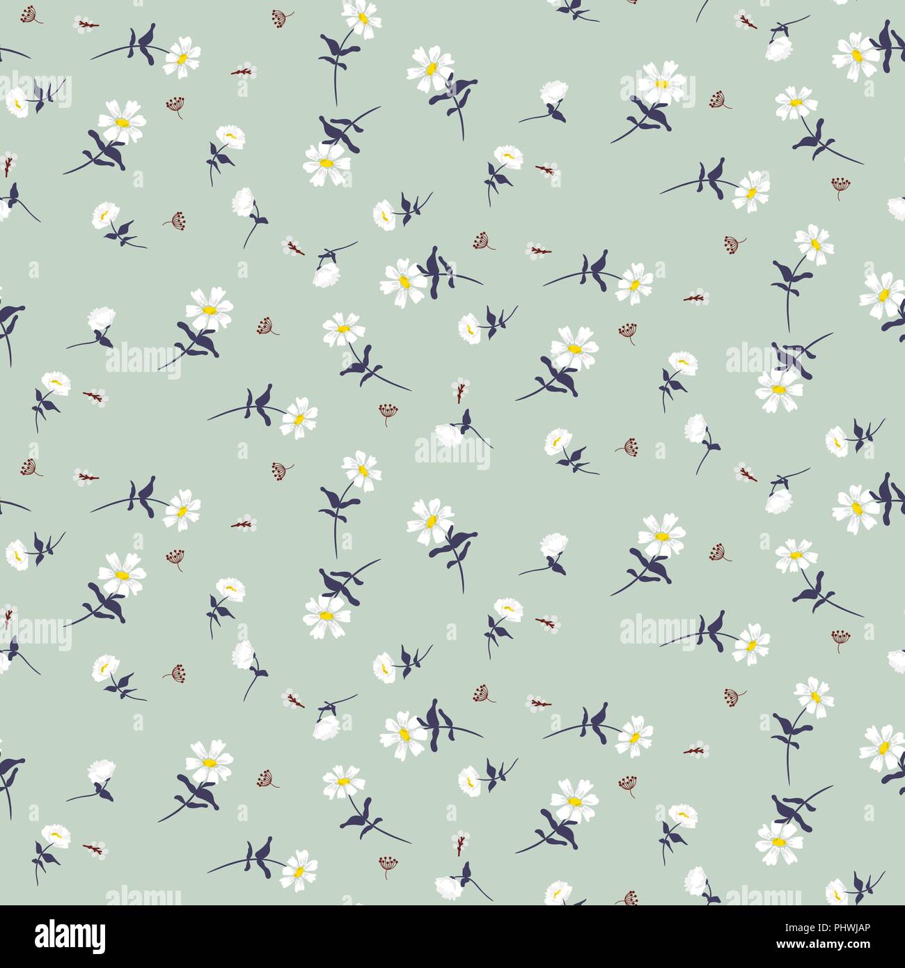 Daisy fiori vettore seamless pattern. Illustrazione Vettoriale