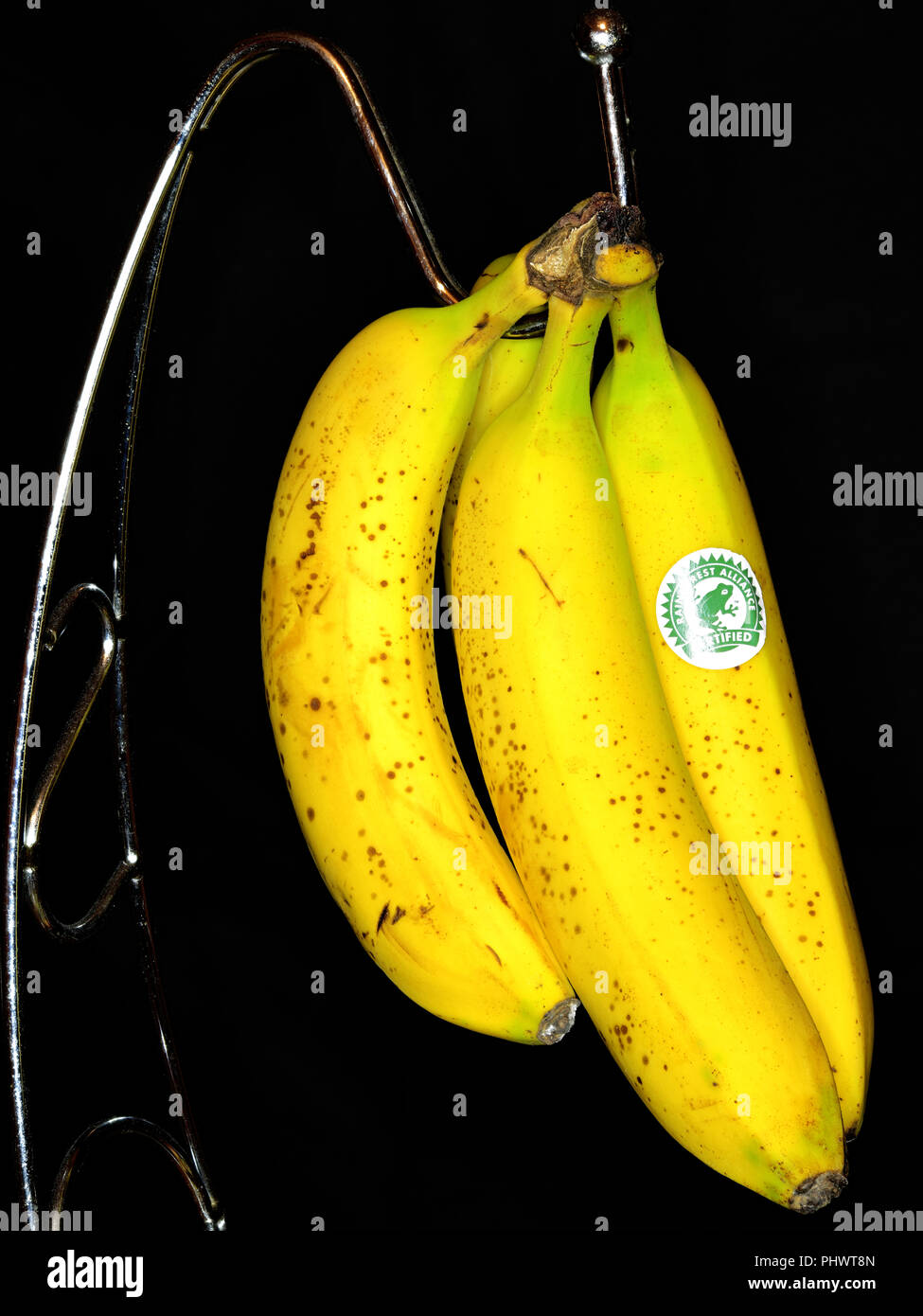 Quattro giallo verde banane appeso ad un gancio cromato contro uno sfondo nero Foto Stock