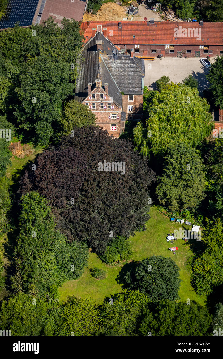 Haus Tüchen, Jörn Alexander Schulze-Henne, allevamento di cavalli, estere, Ahlen, Ruhrgebiet, Renania settentrionale-Vestfalia, Germania, DEU, Europa, fotografia aerea, Foto Stock
