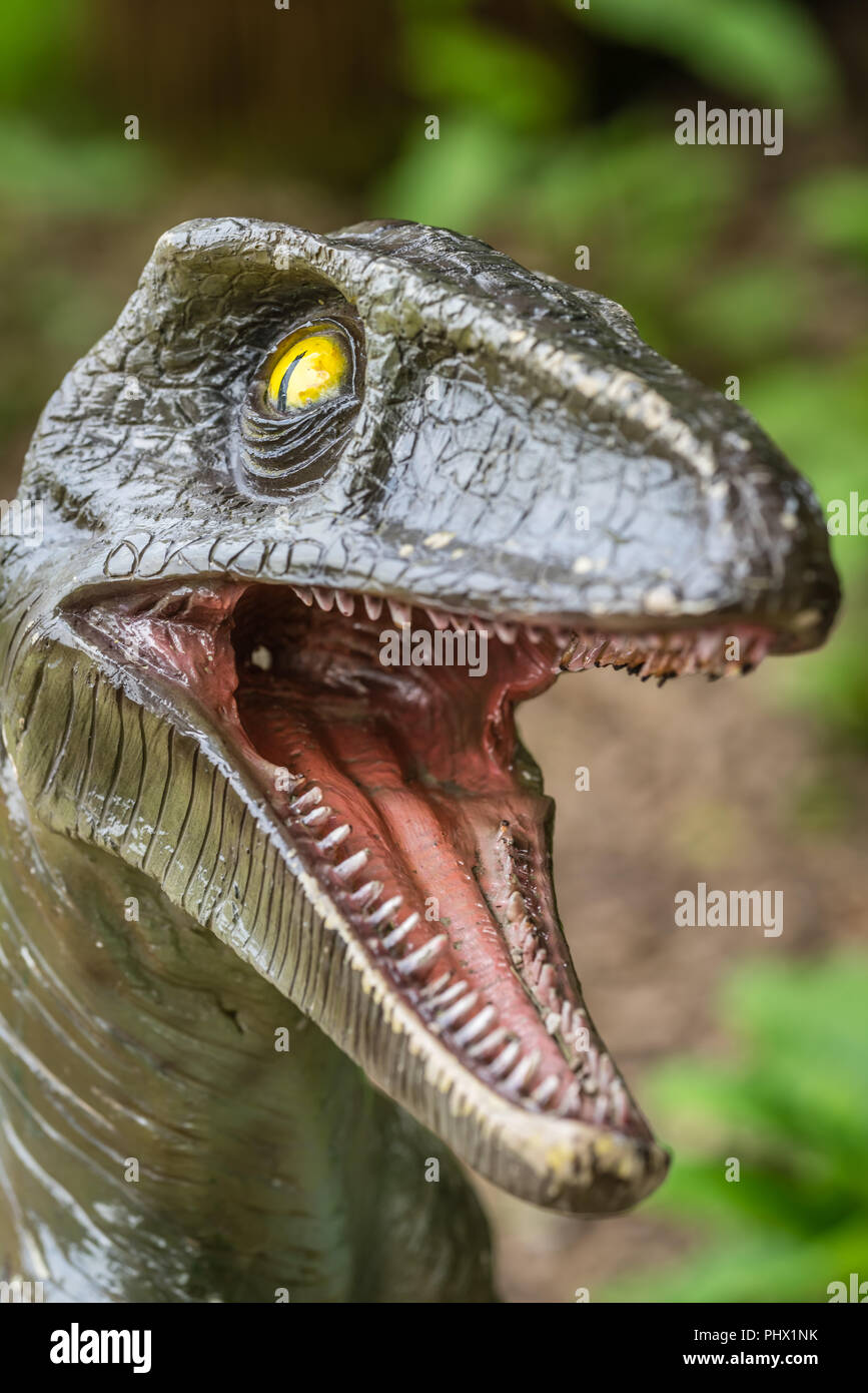 Close up Velociraptor denti affilati Foto Stock