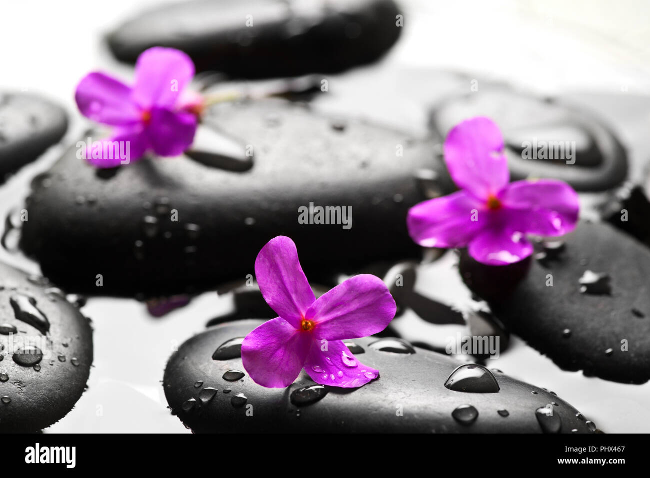 Grigio ghiaia bagnati con sfondo fiori Foto Stock
