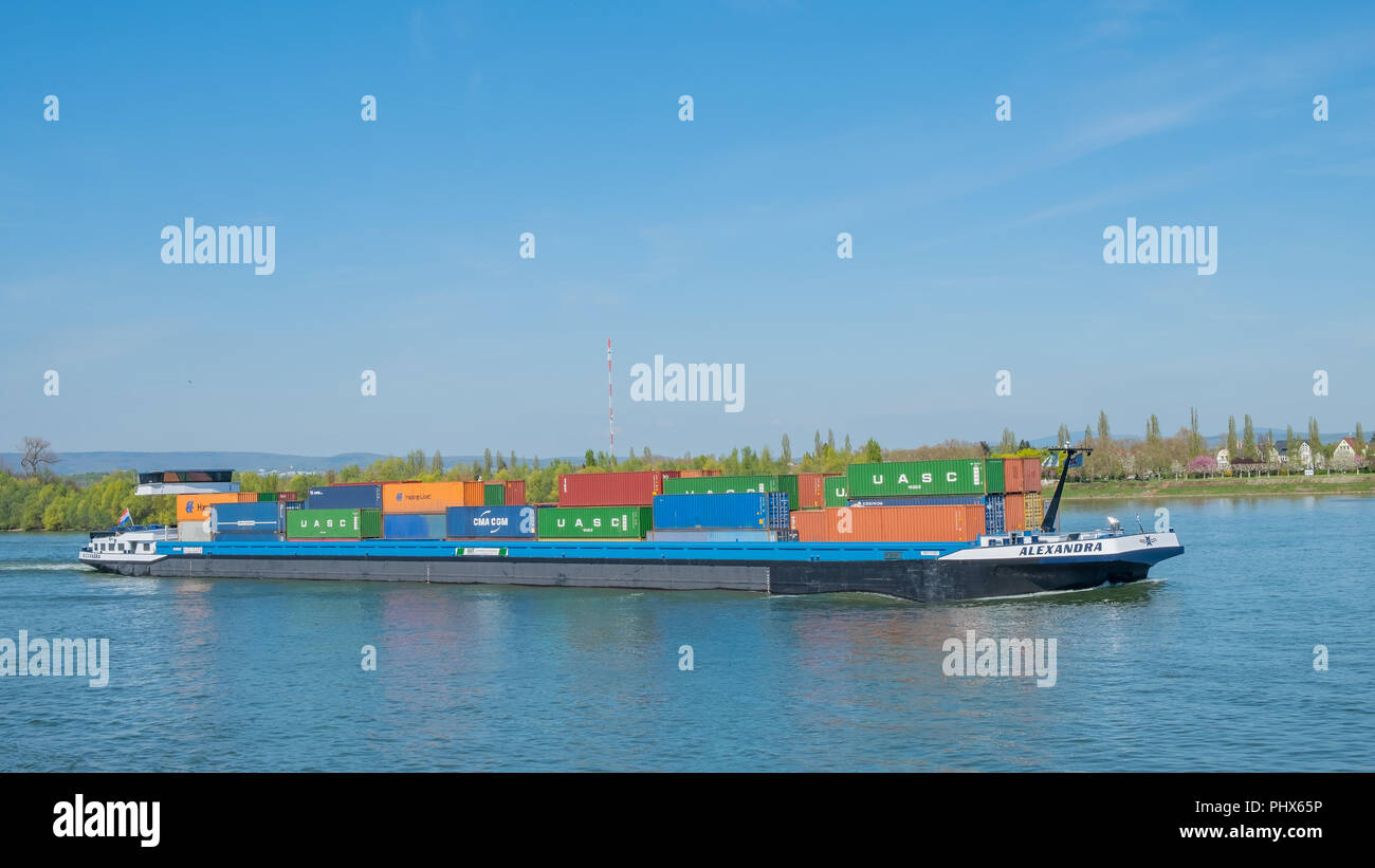 Grandi chiatte che trasportano molti contenitori vele lungo il fiume Reno in Germania. Foto Stock