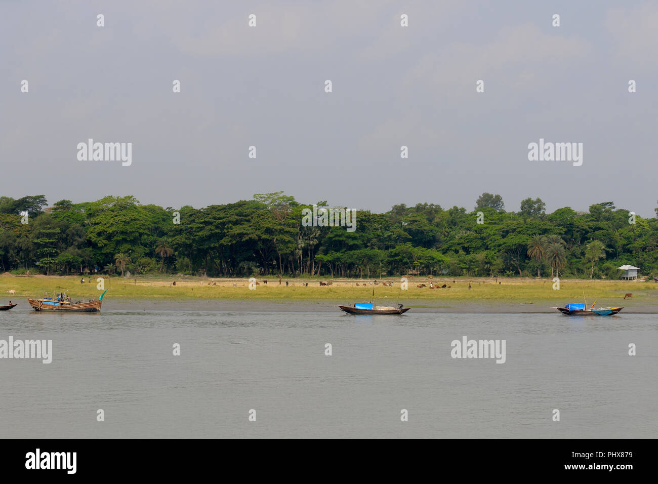Barche da pesca sulla banca del fiume di Tetulia, Patuakhali, Bangladesh Foto Stock