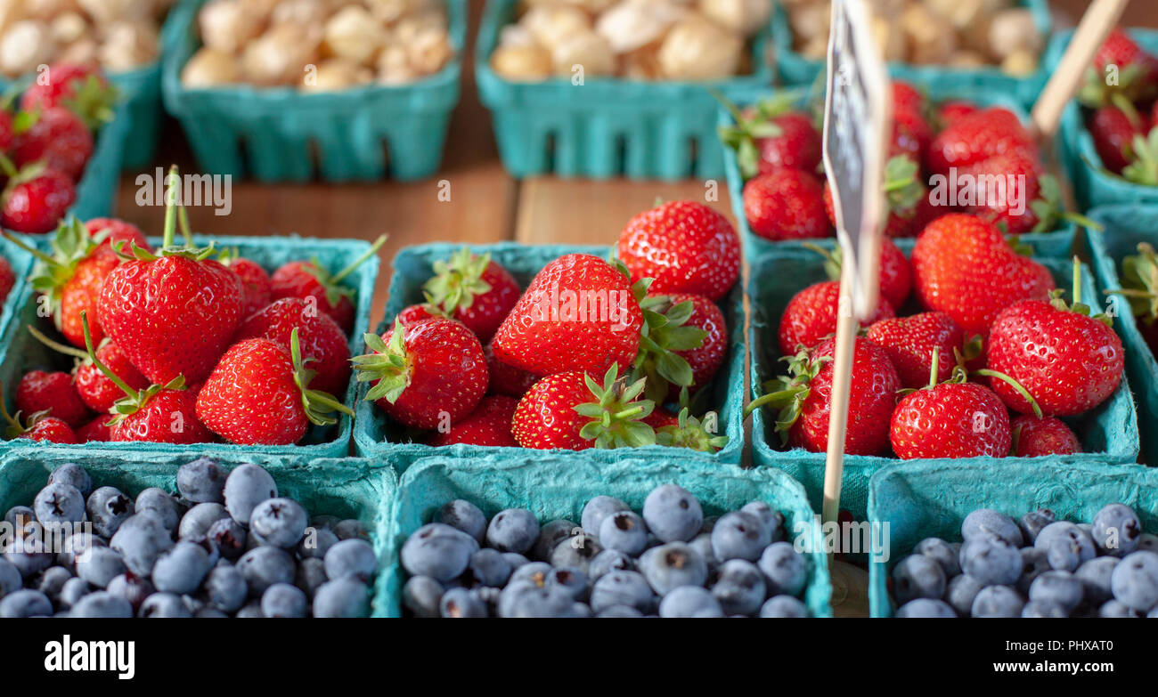 Fragole e mirtilli in vendita presso il Ithaca mercato agricolo in Ithaca, NY, STATI UNITI D'AMERICA. Foto Stock