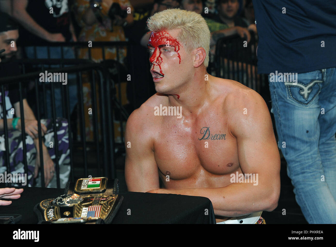 New York, NY, STATI UNITI D'AMERICA. 1 Sep, 2018. Cody Rhodes sconfigge Nick Aldis per la NWA World's Heavyweight Championship a 'Tutti nell' evento presso il Centro Sears il 1 settembre 2018 a Chicago, Illinois. Credito: Giorgio Napolitano/media/punzone Alamy Live News Foto Stock