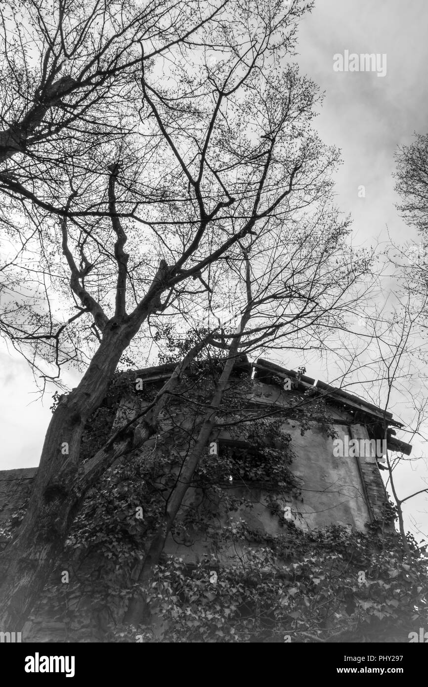 Abbandonato il vecchio orrore casa in italia Foto Stock