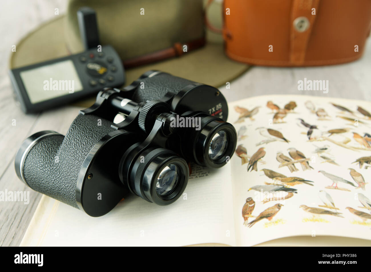 Close-up, dettaglio, binocolo, bird watching libro di identificazione, Africana, Africa, della fauna selvatica, Safari, birdwatching, spasmi Foto Stock