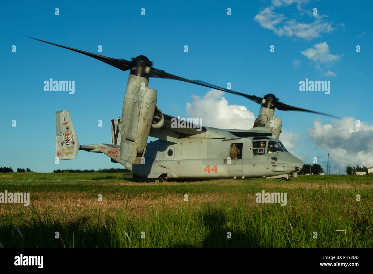 Un MV-22B Osprey tiltrotor aeromobile atterra su una zona di atterraggio durante la caduta libera del paracadute di formazione a Ie Shima Training Facility, Okinawa, in Giappone, il 29 agosto 2018. Anfibio plotone di ricognizione di Marines è volato a un punto al di sopra di una zona di atterraggio su Ie Shima Training Facility, off Okinawa la costa nord-occidentale, prima di uscire da una crociera MV-22B Osprey tiltrotor aerei - da lì, i Marines sono diminuiti per circa 50 secondi prima di distribuire i paracaduti a terra in modo sicuro. Il trentunesimo MEU, il Marine Corps' solo in modo continuo distribuita MEU, fornisce una forza flessibile pronto per eseguire una vasta gamma di mezzi militari Foto Stock