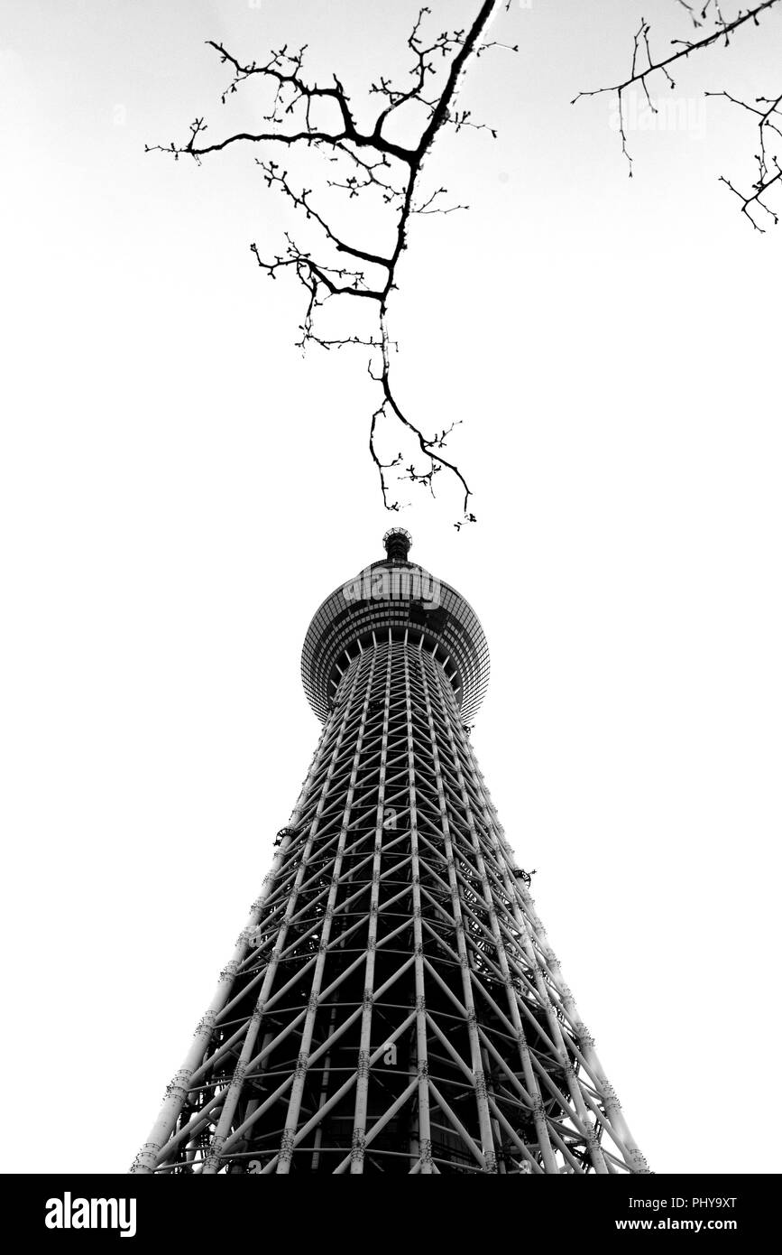 Tokyo sky tree in bianco e nero umore Foto Stock