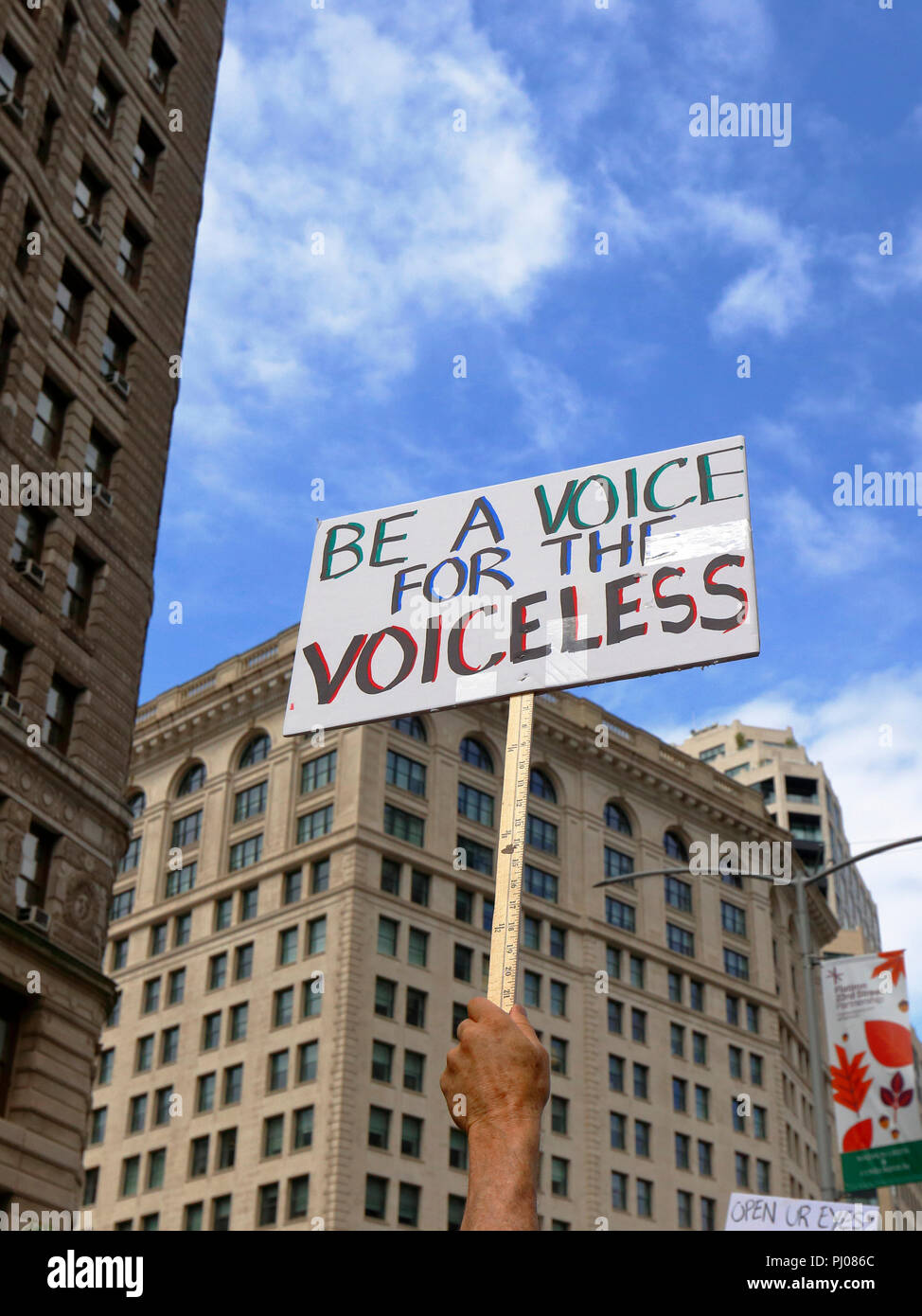 Una persona che detiene un segno "essere la voce dei senza voce" nel cielo a una manifestazione per i diritti degli animali Foto Stock