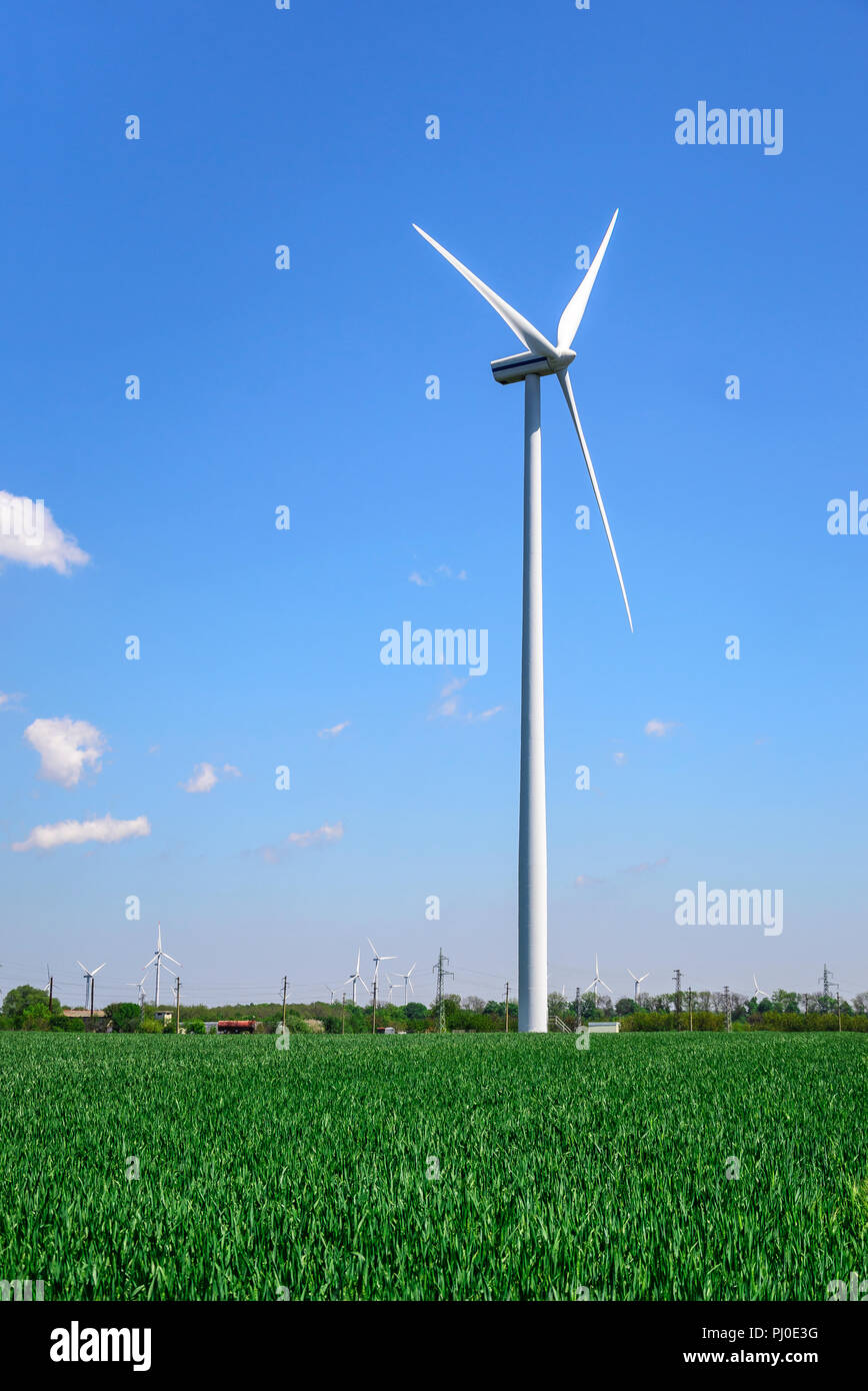 Campo con mulini a vento. Uno può vedere l'erba e il cielo. Foto Stock