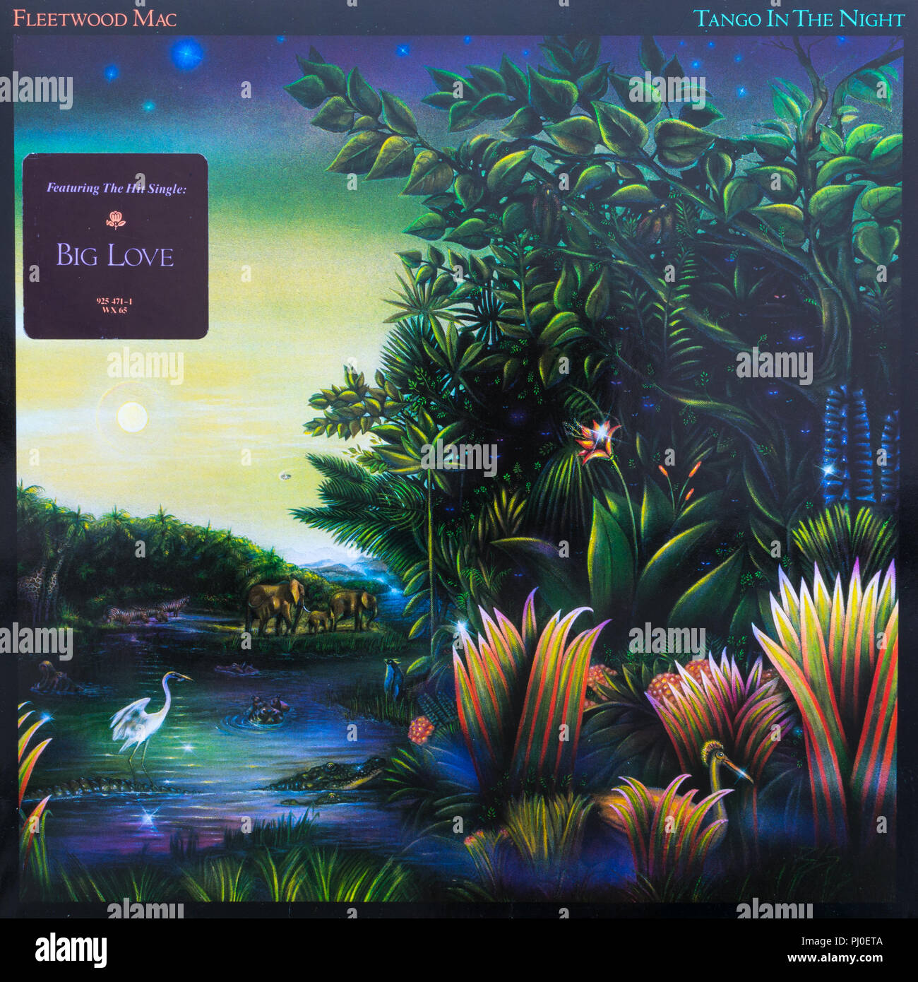 Fleetwood Mac Tango nella notte della copertina dell'album Foto Stock