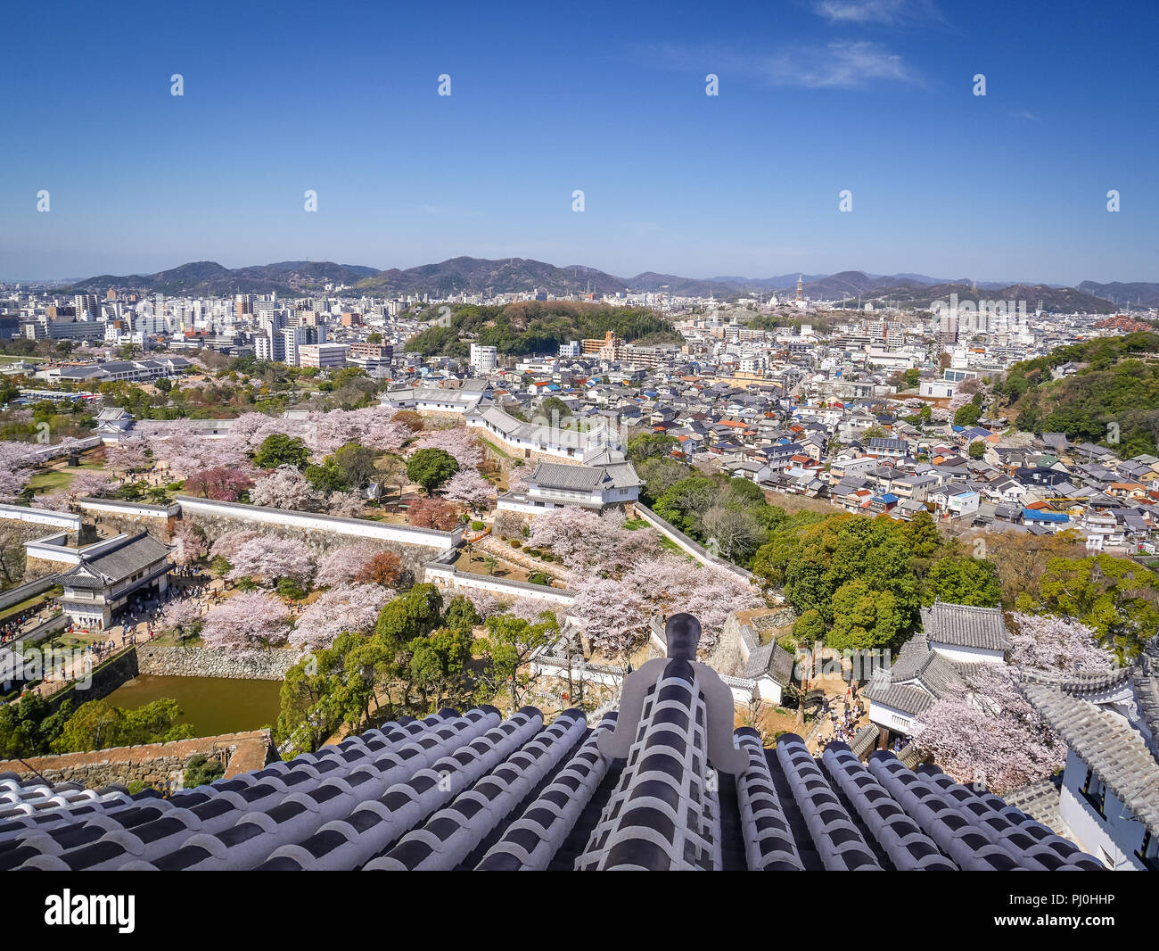 Vista aerea della città di Himeji da Himeji Castil in fiore di ciliegio stagione. Foto Stock