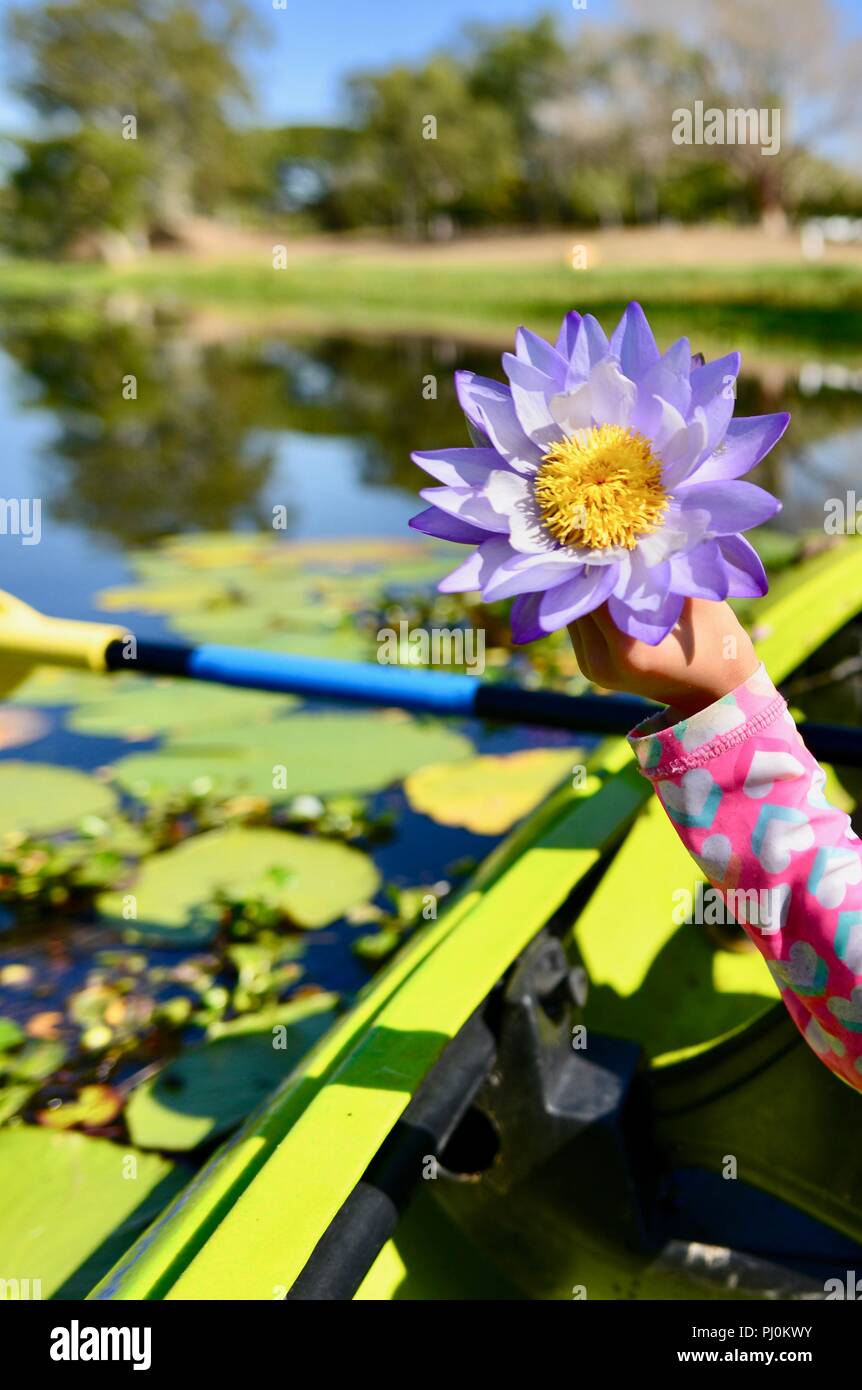 Giovane ragazza tenendo un viola acqua giglio fiore mentre sorridente, Ross River QLD, Australia Foto Stock