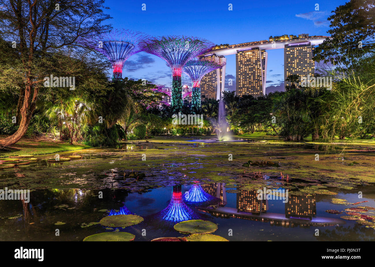 La Ninfea laghetto in giardino con la Baia di Singapore. Foto Stock