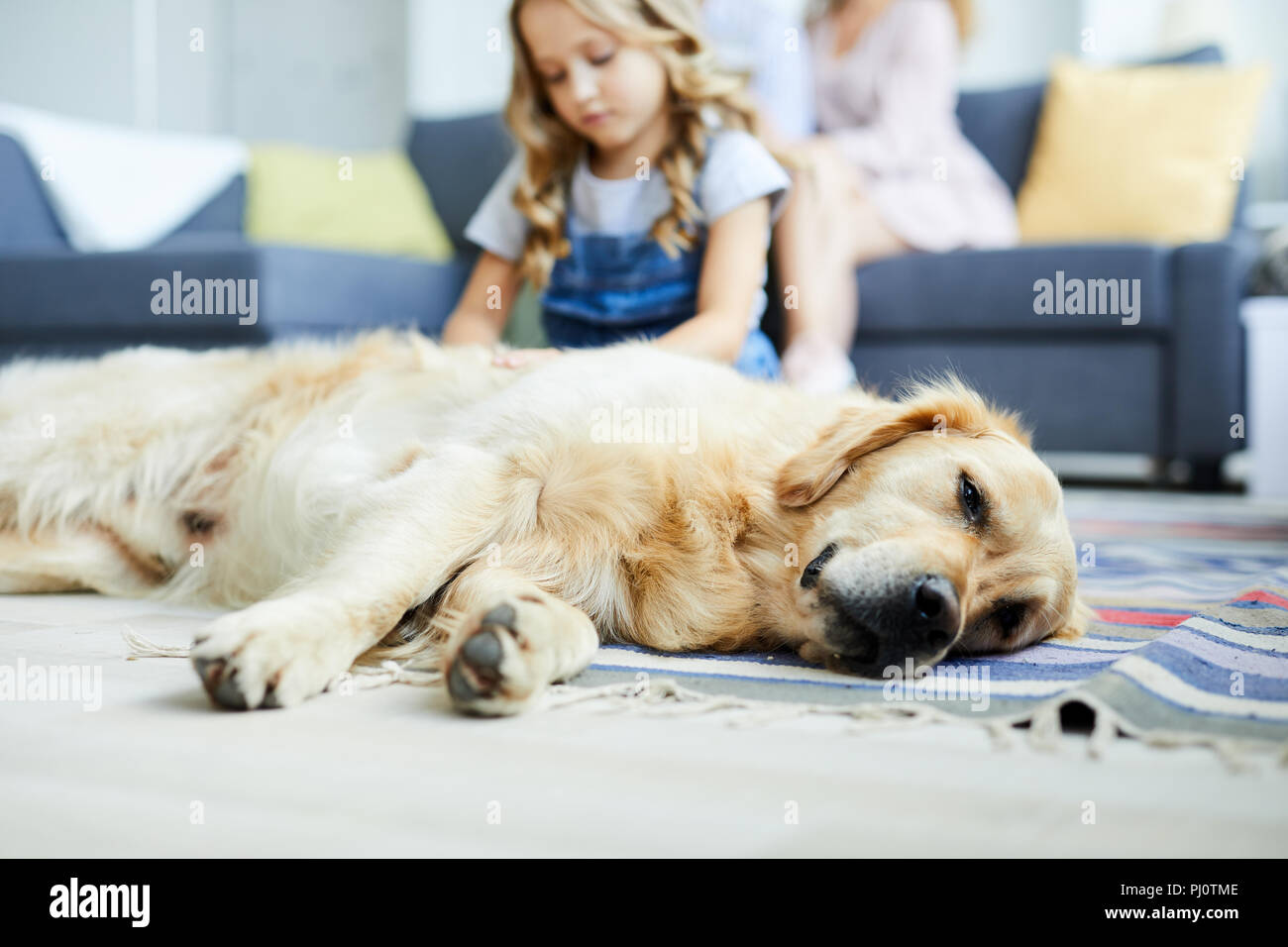 Cane sul pavimento Foto Stock