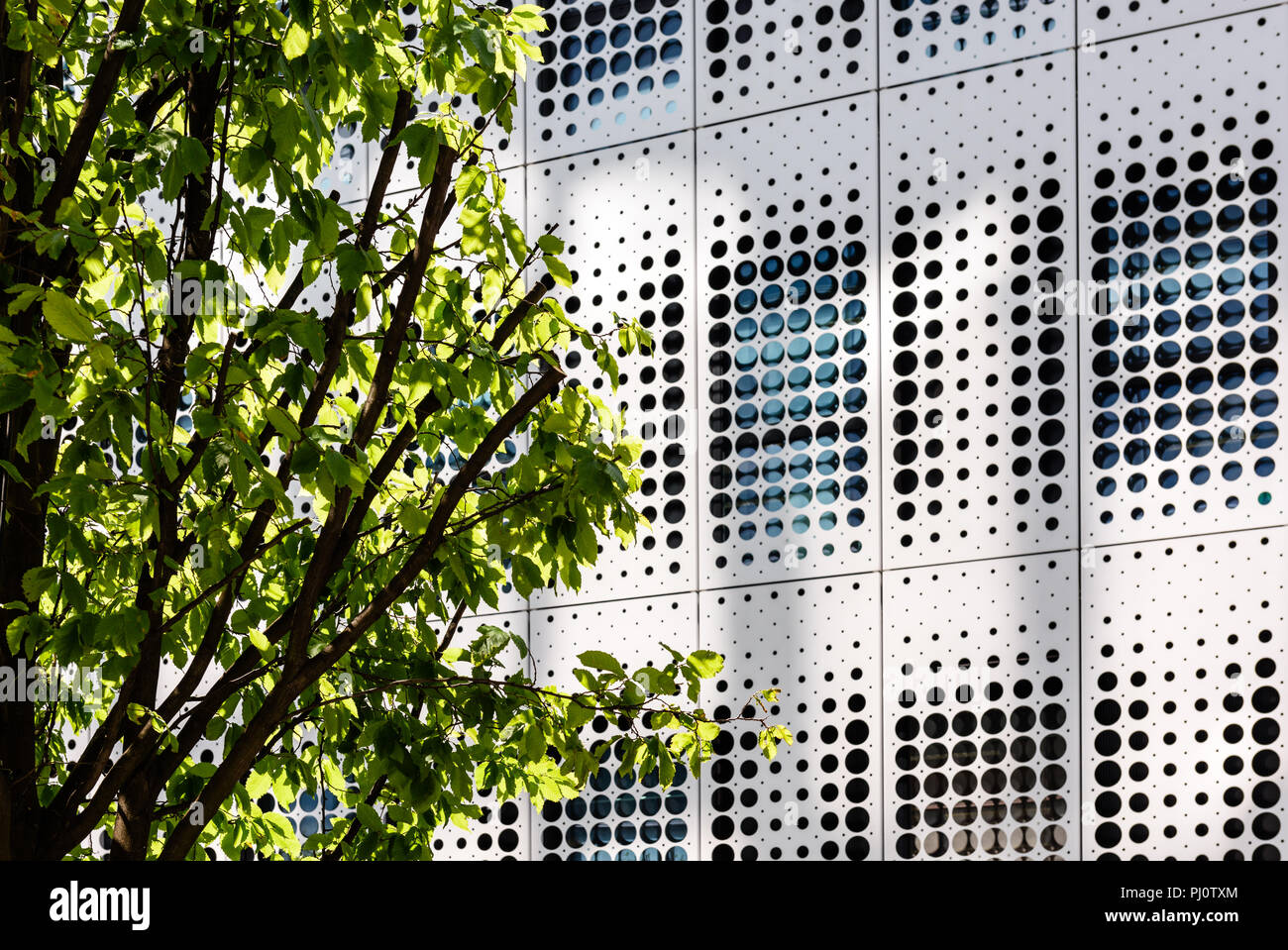 Close up di MediaCom edificio in Manchester che mostra il contrasto modello di ripetizione dei cerchi Foto Stock