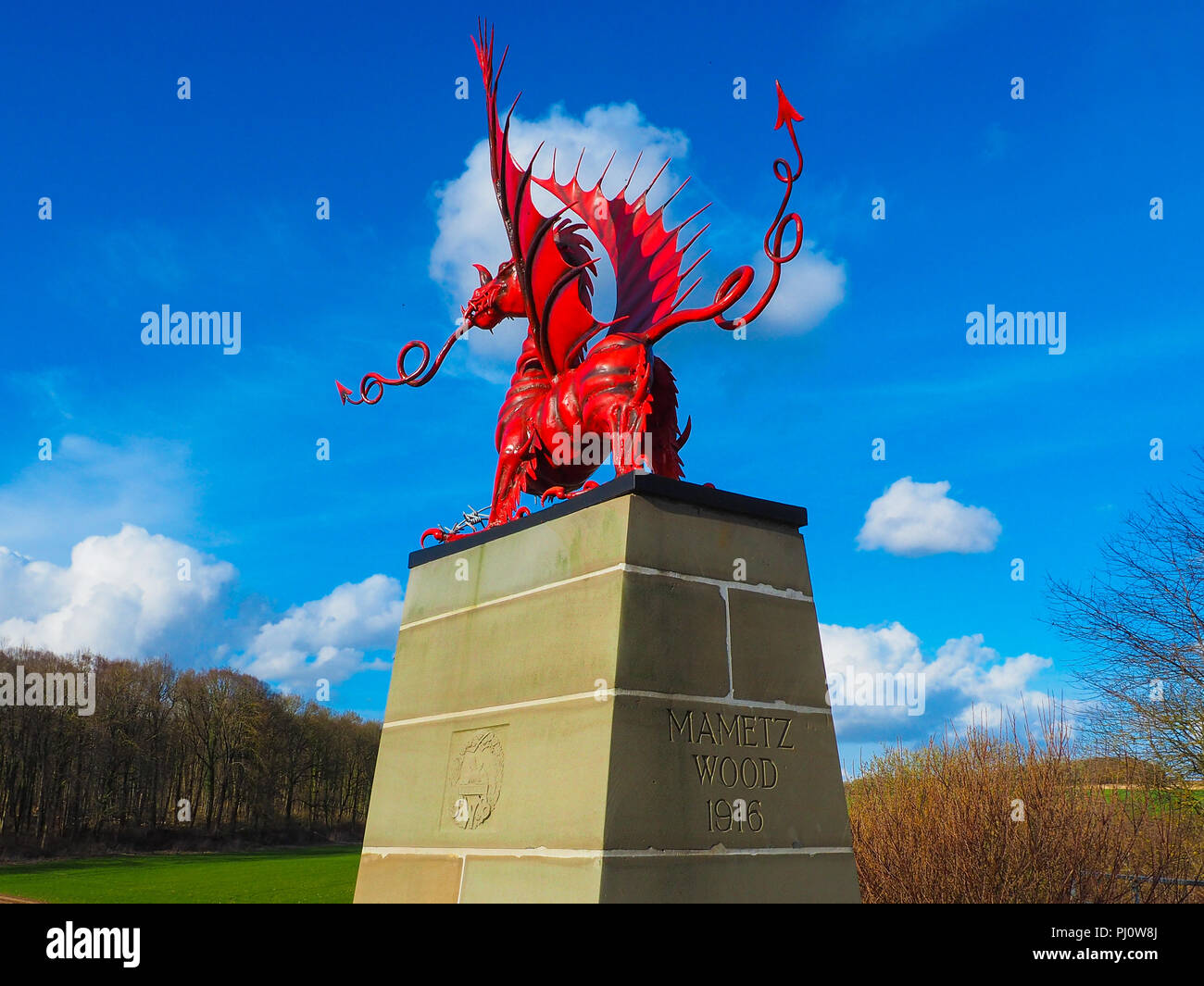 Xxxviii (gallese) Divisione Memorial Mametz Somme di legno Foto Stock