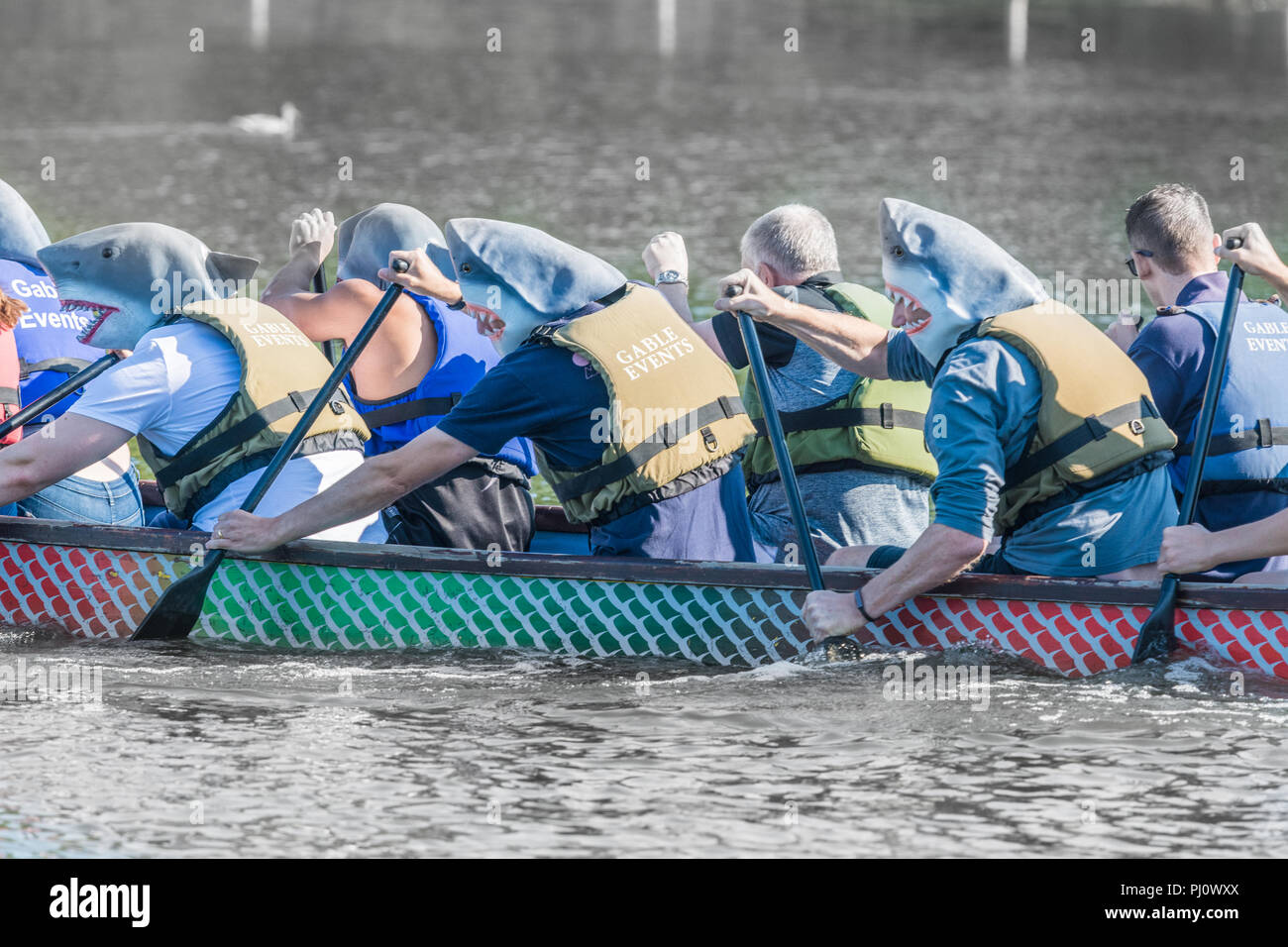 Abiti fantasiosi costumi indossati dai partecipanti alla gara di dragon boat organizzata da East Northants rotary club a Wicksteed Park, Kettering il 2 settembre Foto Stock