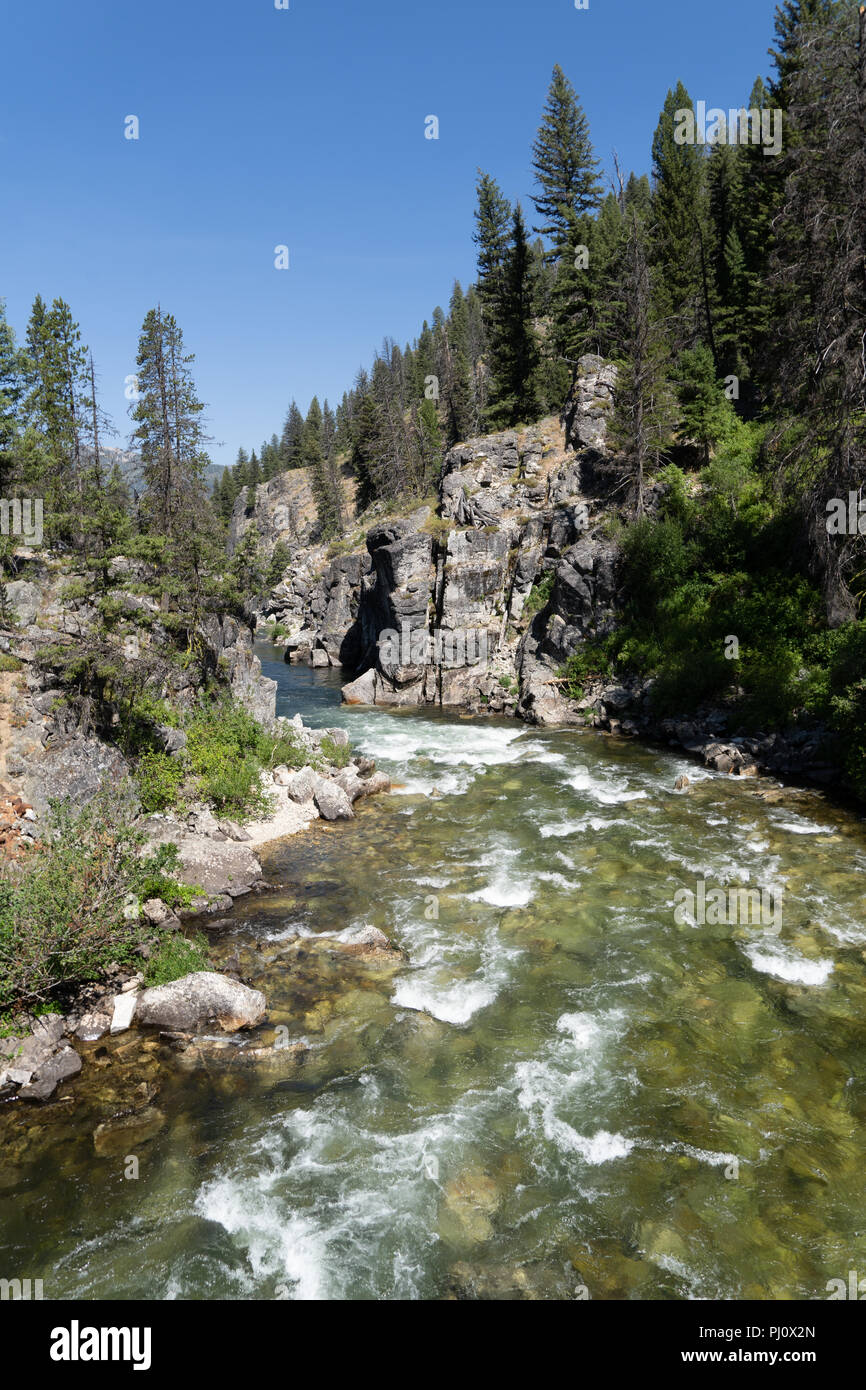 La forcella centrale del fiume di salmoni in Idaho, nei pressi di pugnale cade nel Salmon-Challis National Forest. Questo fiume è famosa per il rafting. Foto Stock
