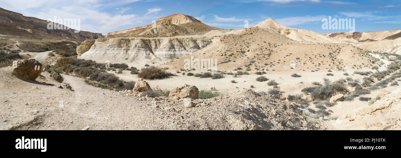 Panorama di nahal wadi zin e nahal wadi havarim unendo alla fine dell'ein avdat canyon nel negev vicino a sde boker in Israele Foto Stock