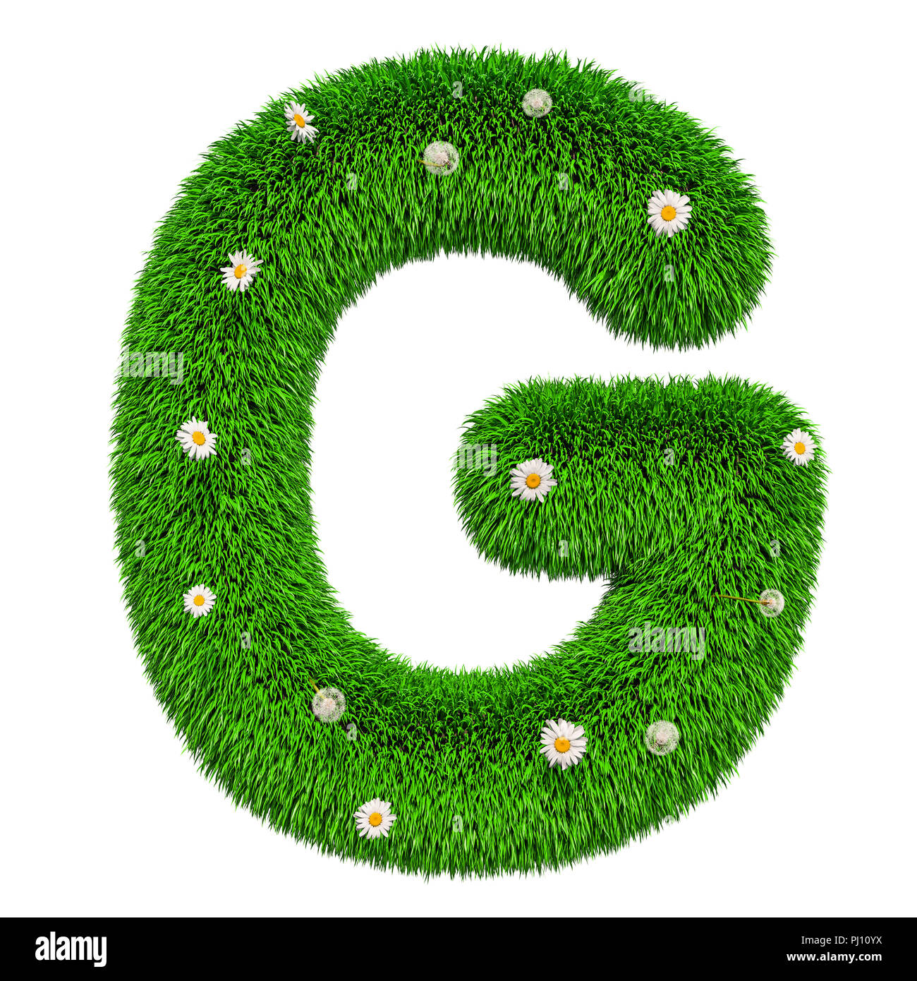 Lettera di verde G da erba con fiori, 3D rendering isolati su sfondo bianco Foto Stock