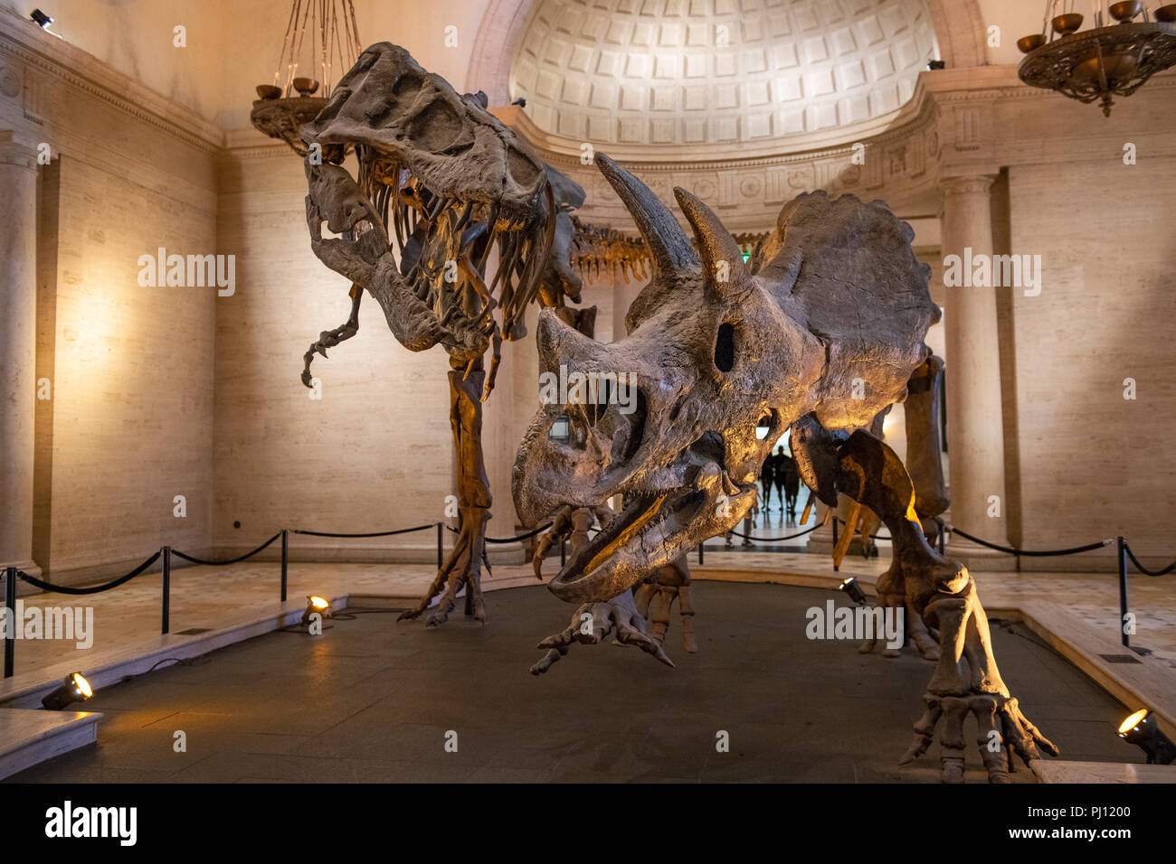 Il Museo di Storia Naturale della Contea di Los Angeles è la più grande e naturale museo storico nella parte occidentale degli Stati Uniti. Le sue collezioni comprendono ne Foto Stock